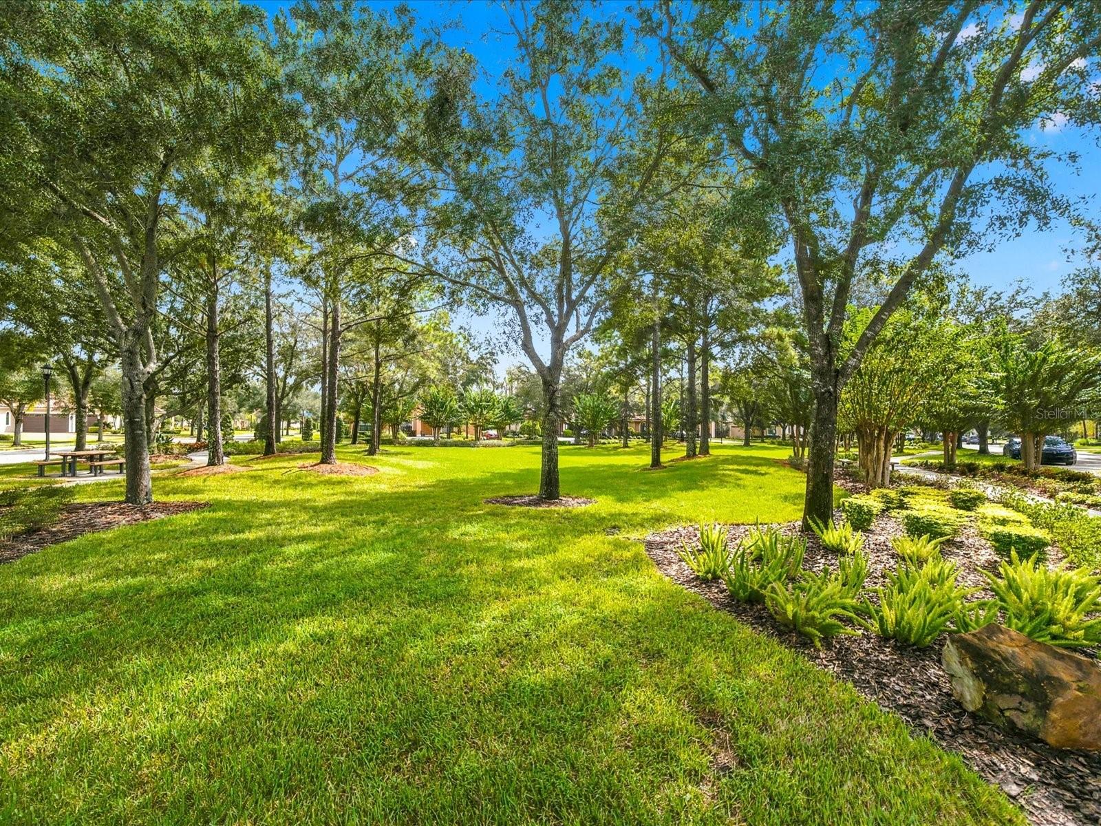 17314 SAN ARINGO PL — photo 79