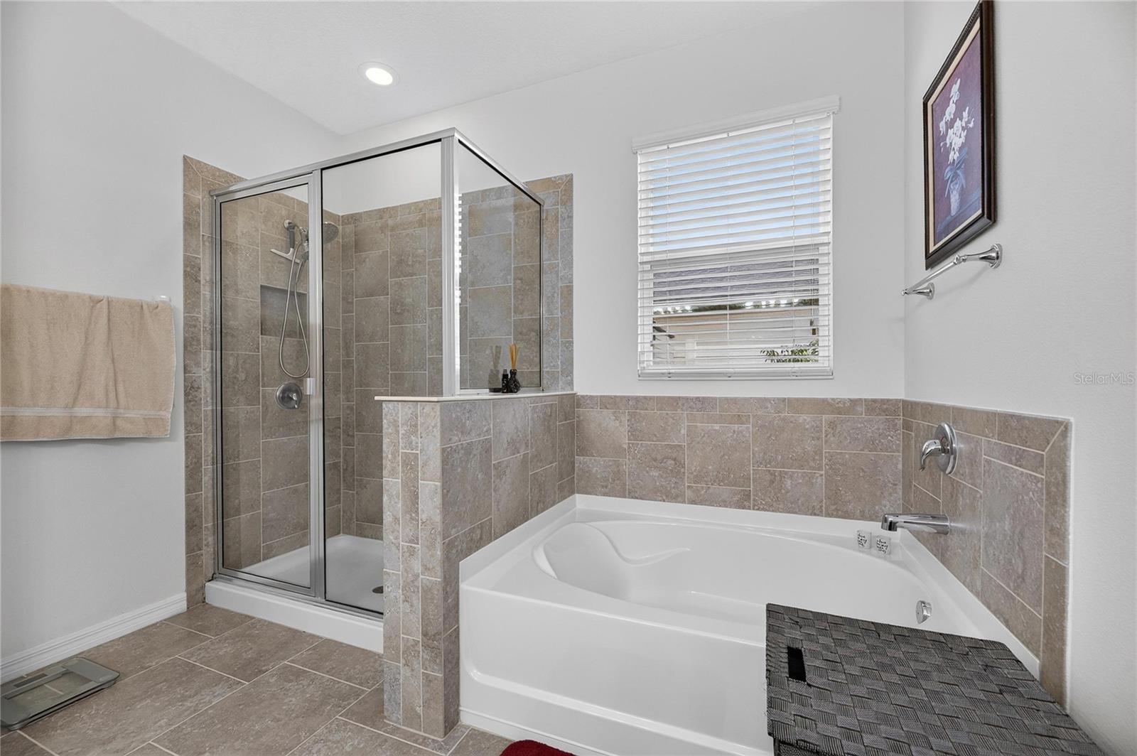 10619 SCENIC HOLLOW DR — photo 35