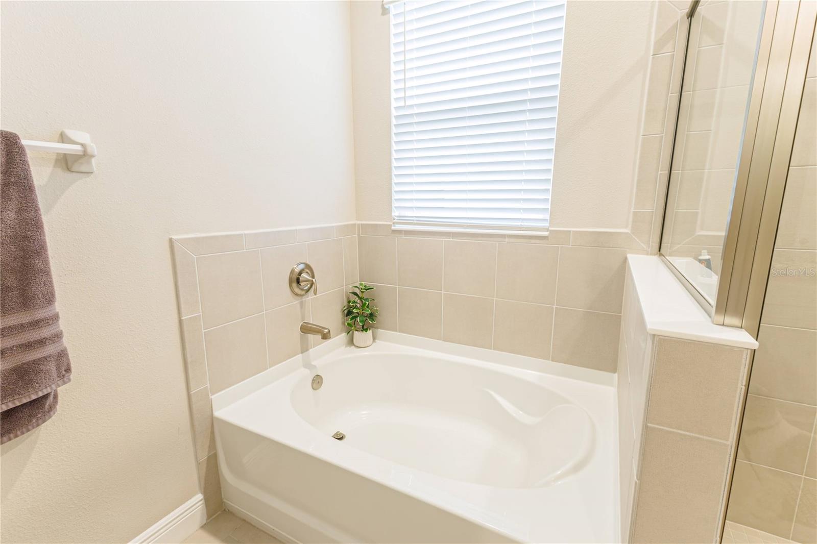 5246 GROVE MILL LOOP — photo 20