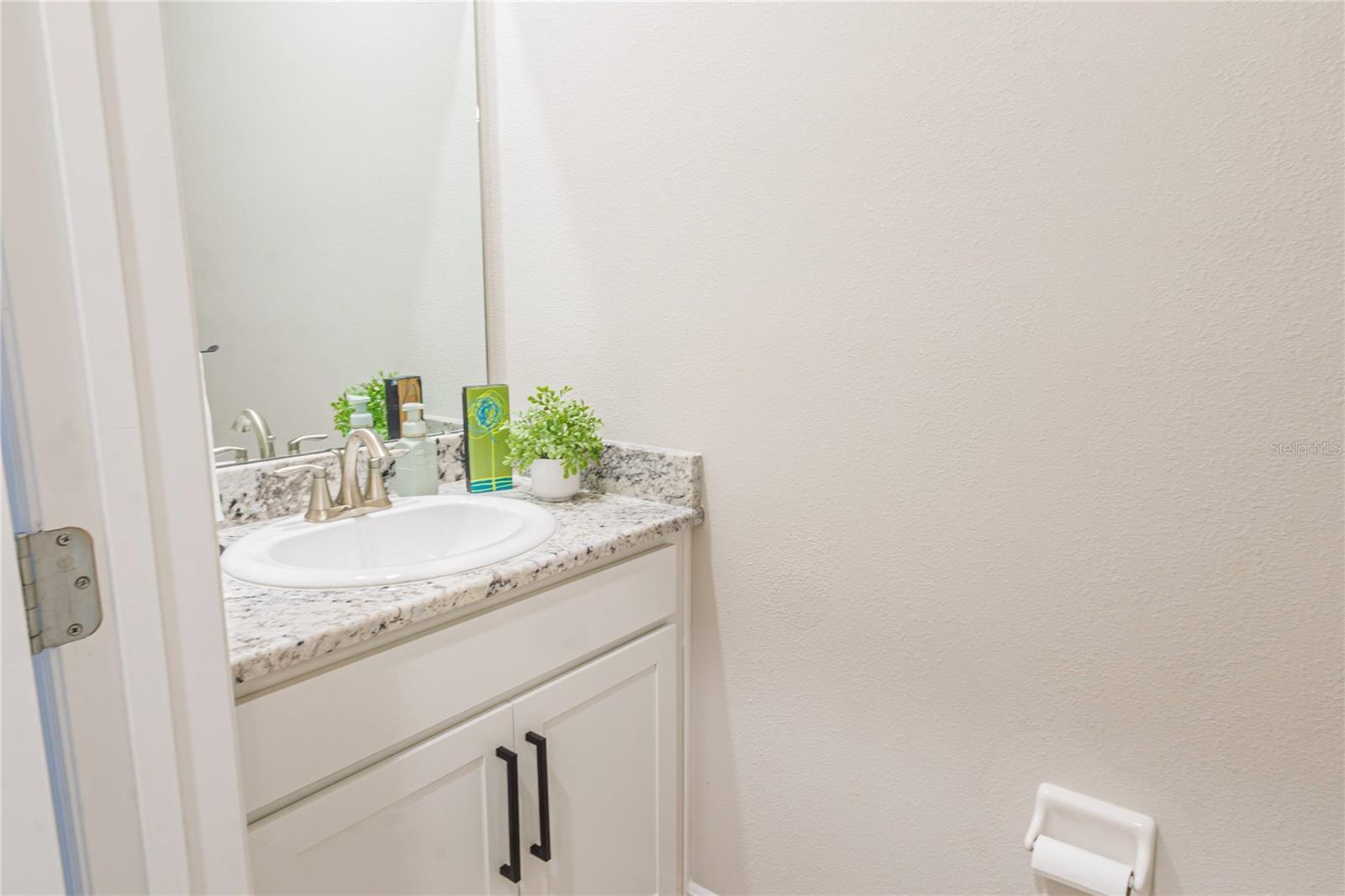 5246 GROVE MILL LOOP — photo 25
