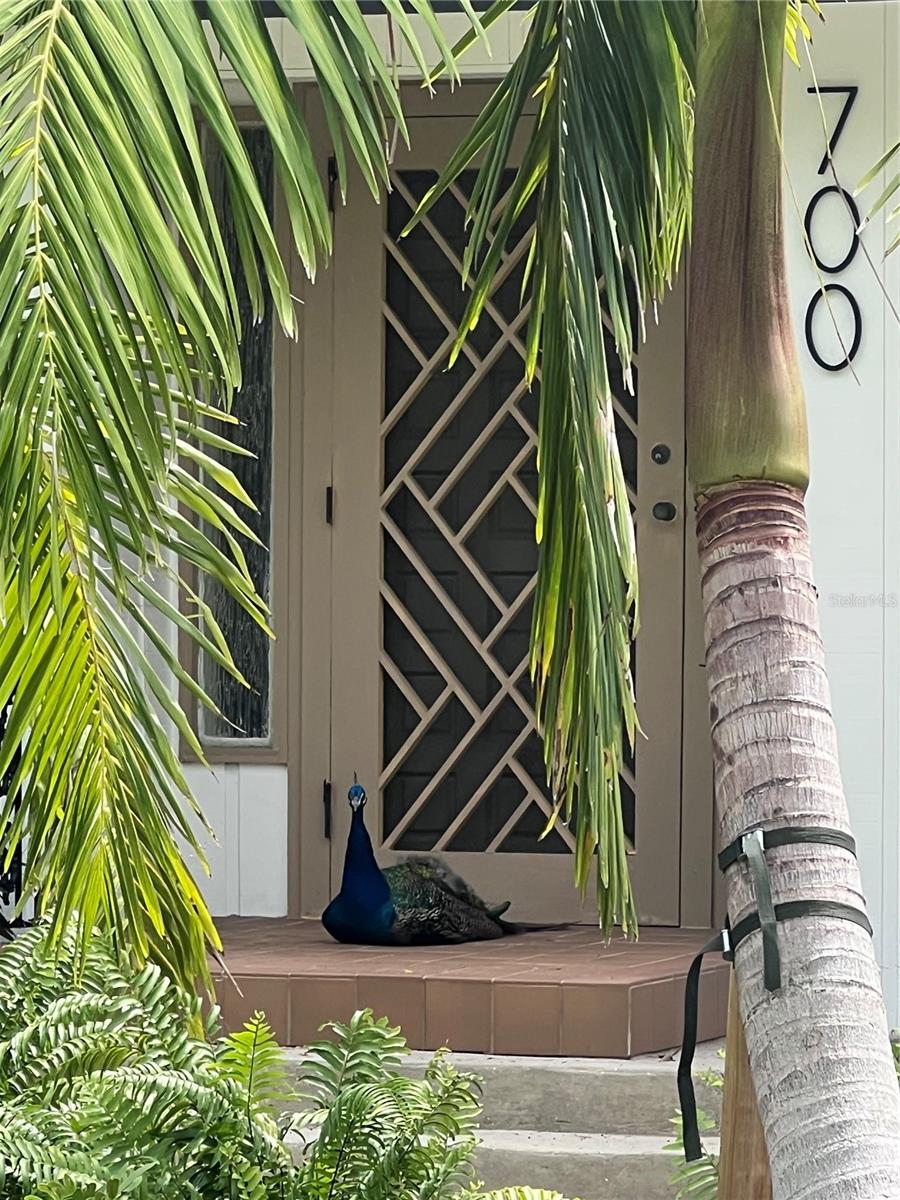700 LONGBOAT CT — photo 36