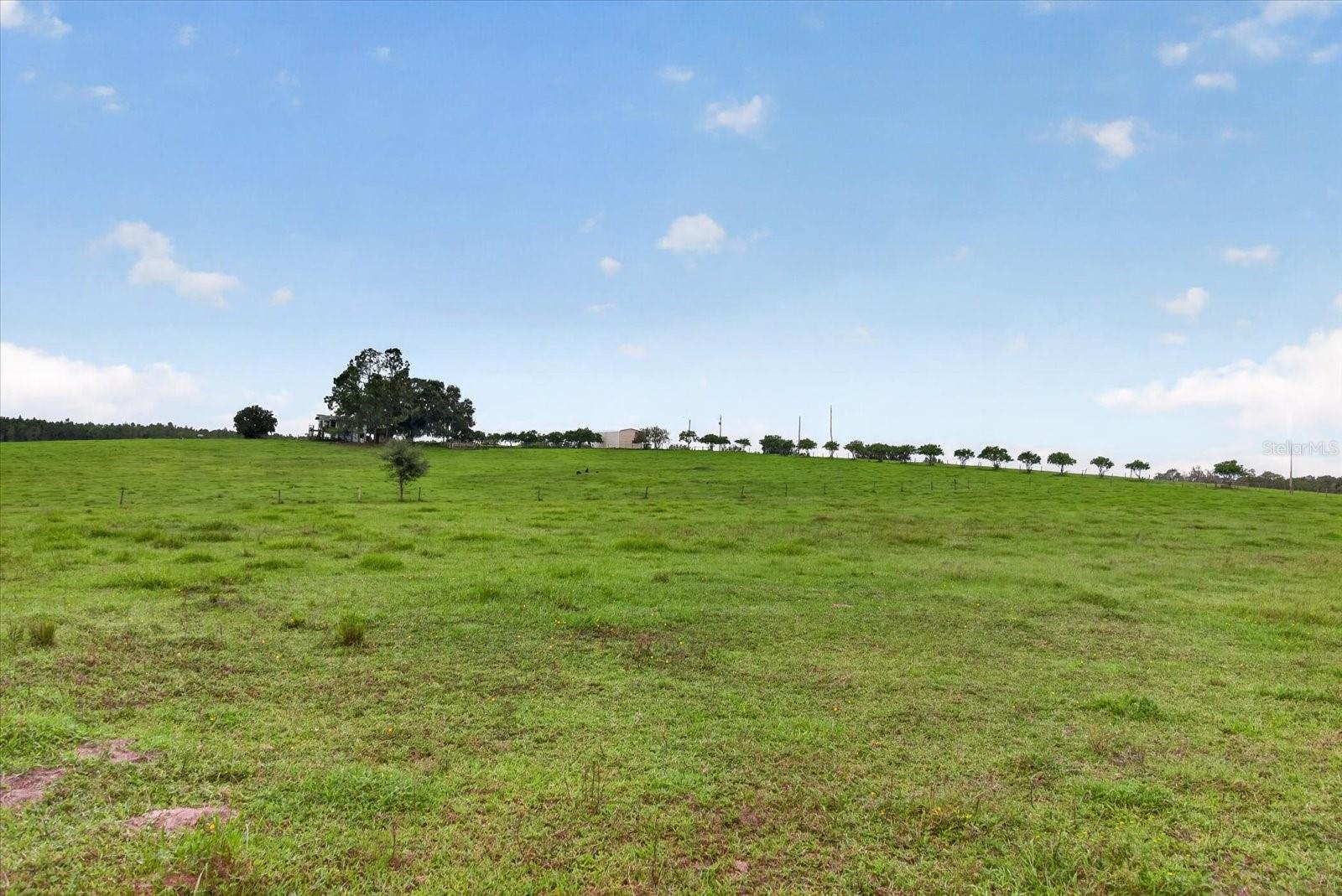 33610 KIEFER RD — photo 15