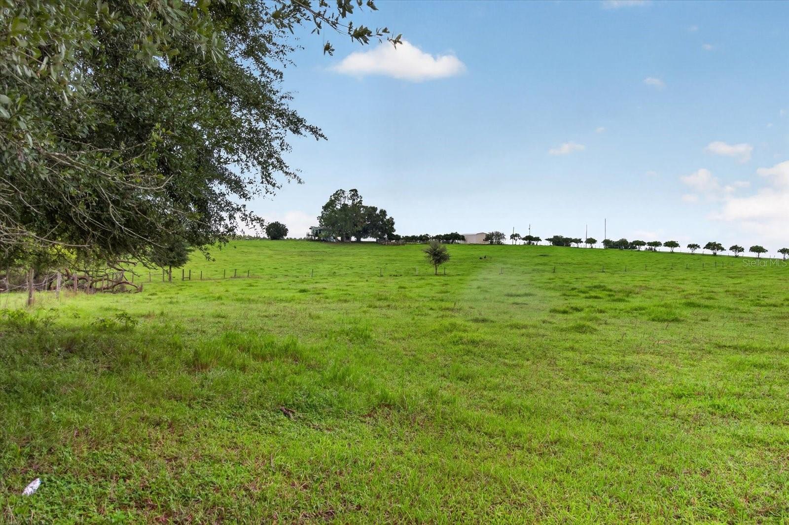 33610 KIEFER RD — photo 23