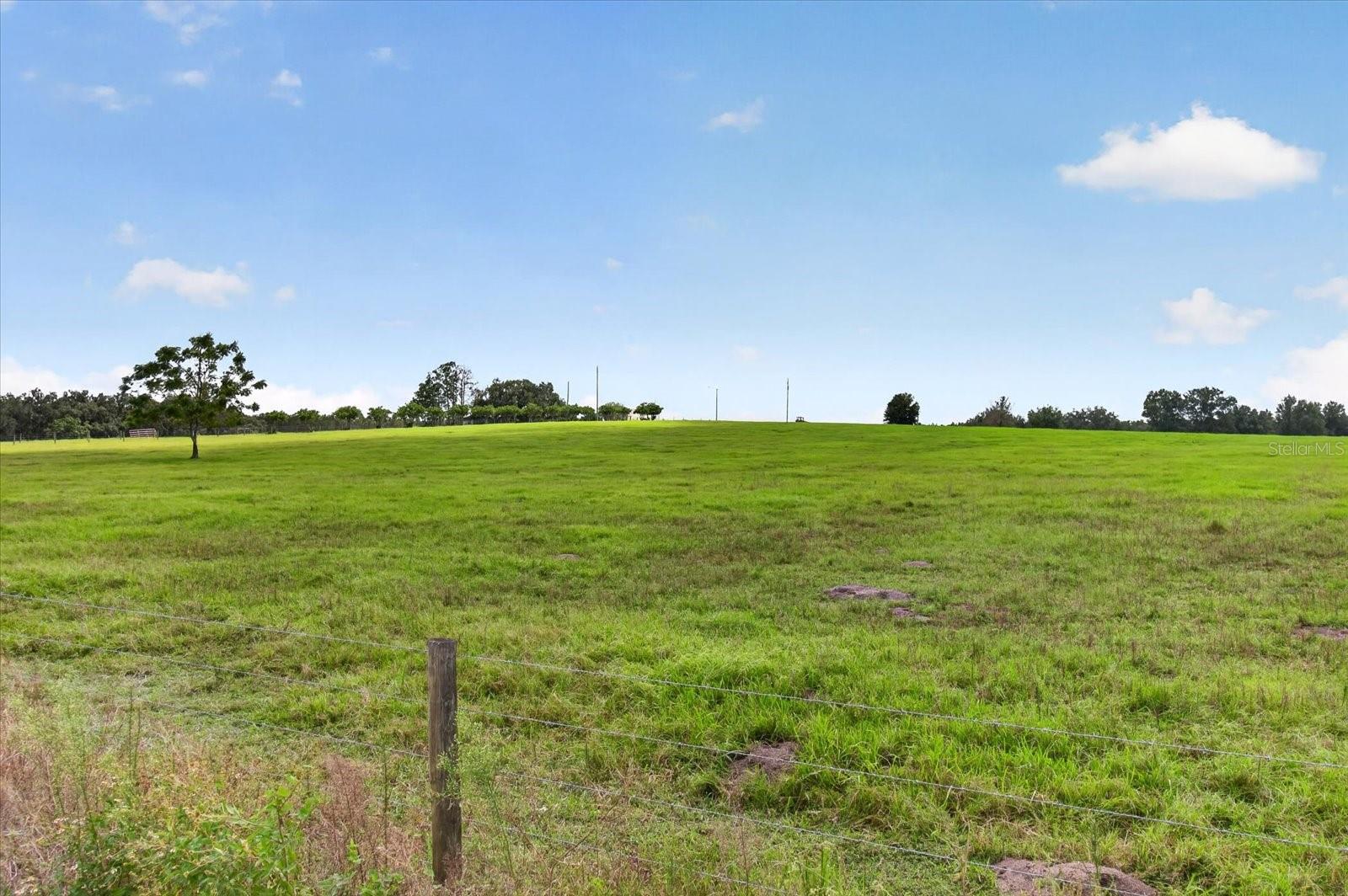 33610 KIEFER RD — photo 4