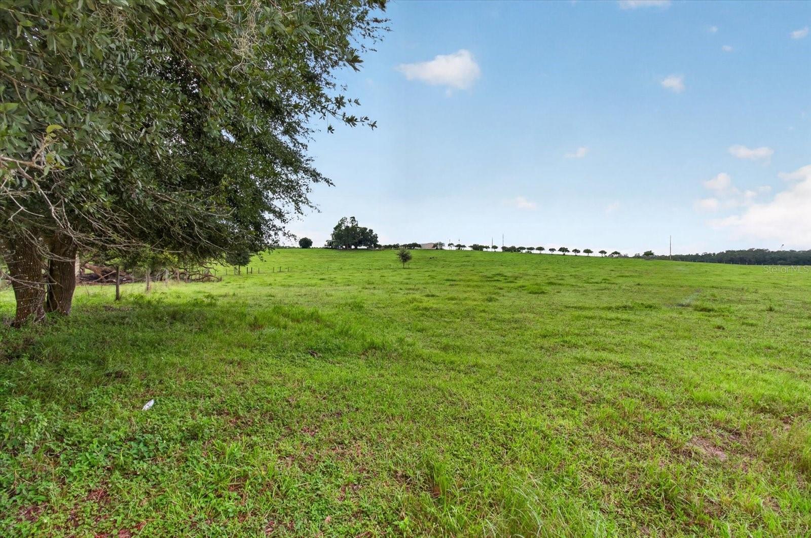 33610 KIEFER RD — photo 27