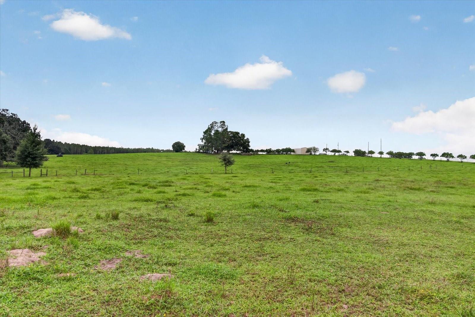 33610 KIEFER RD — photo 26