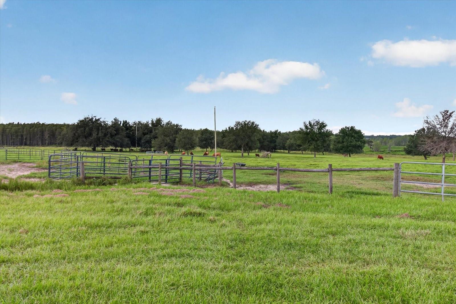 33610 KIEFER RD — photo 31