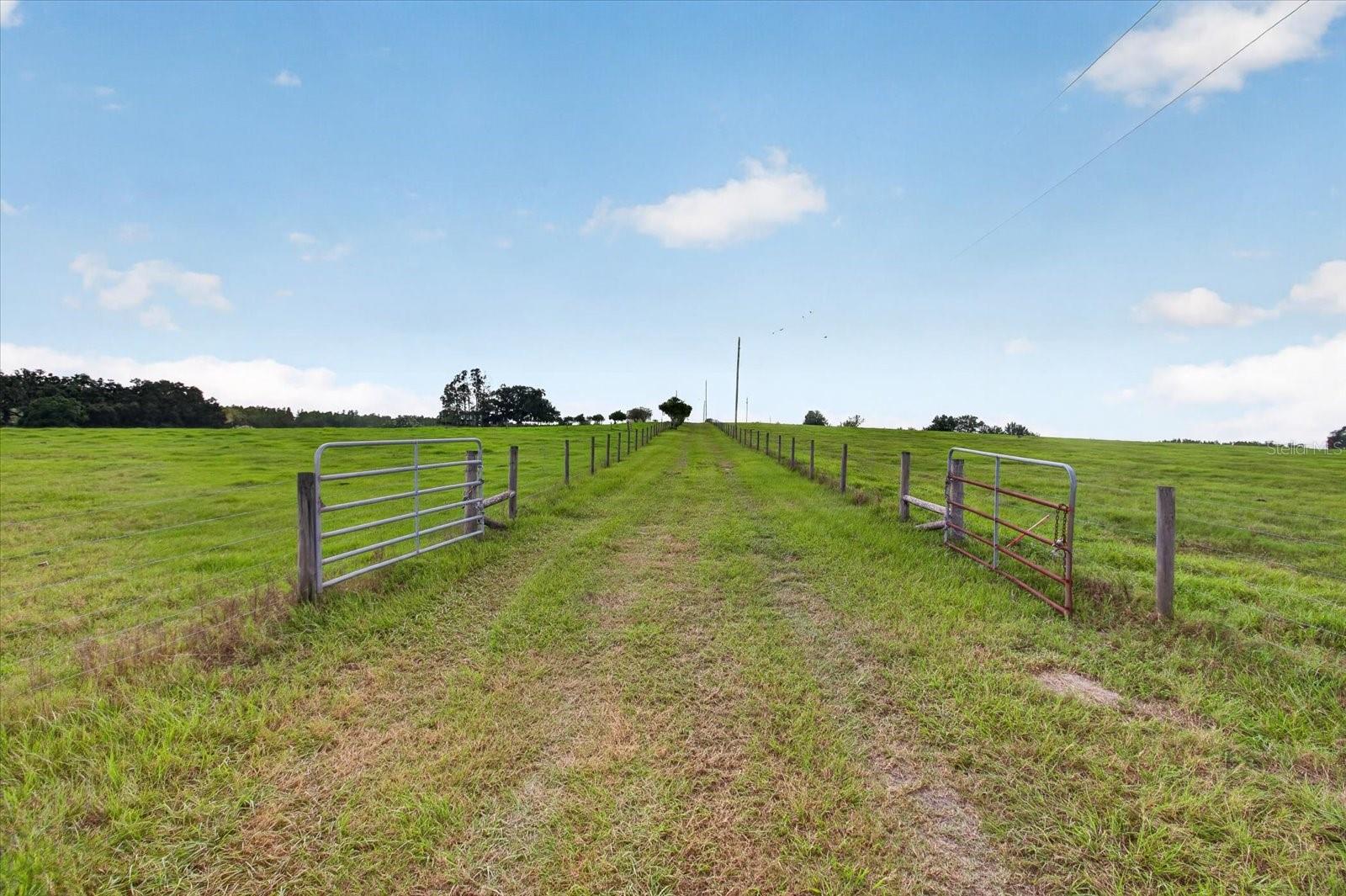 33610 KIEFER RD — photo 14