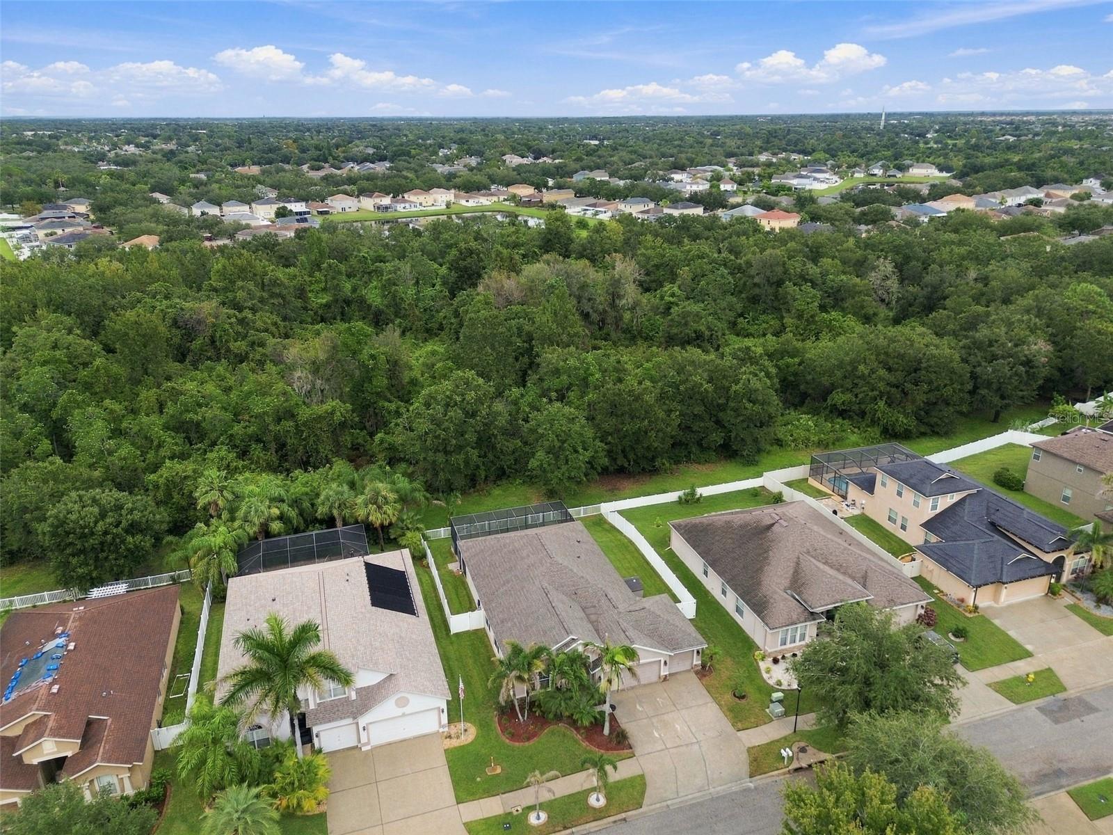 11009 ROCKLEDGE VIEW DR — photo 71