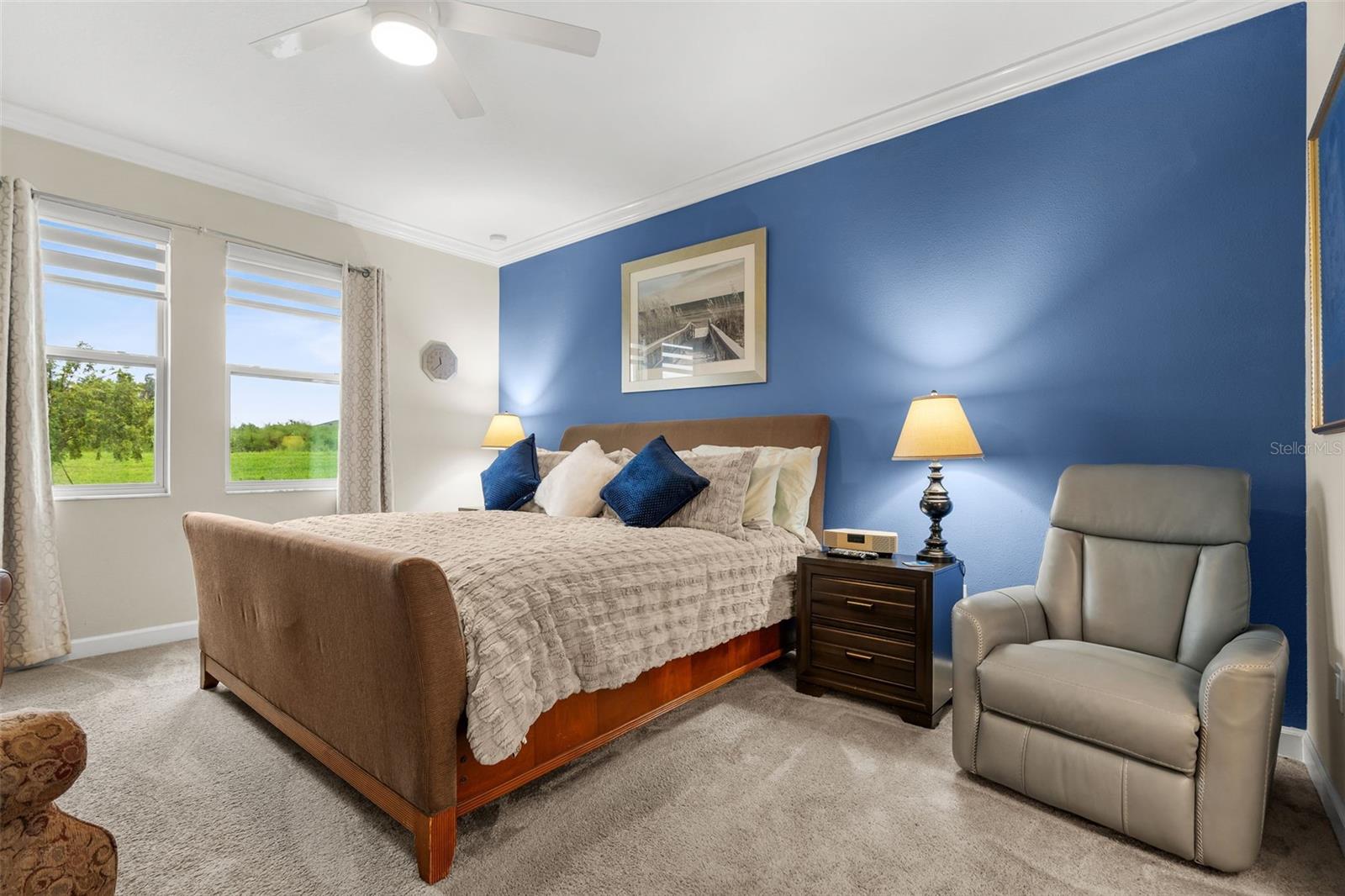 31687 CABANA RYE AVE — photo 35