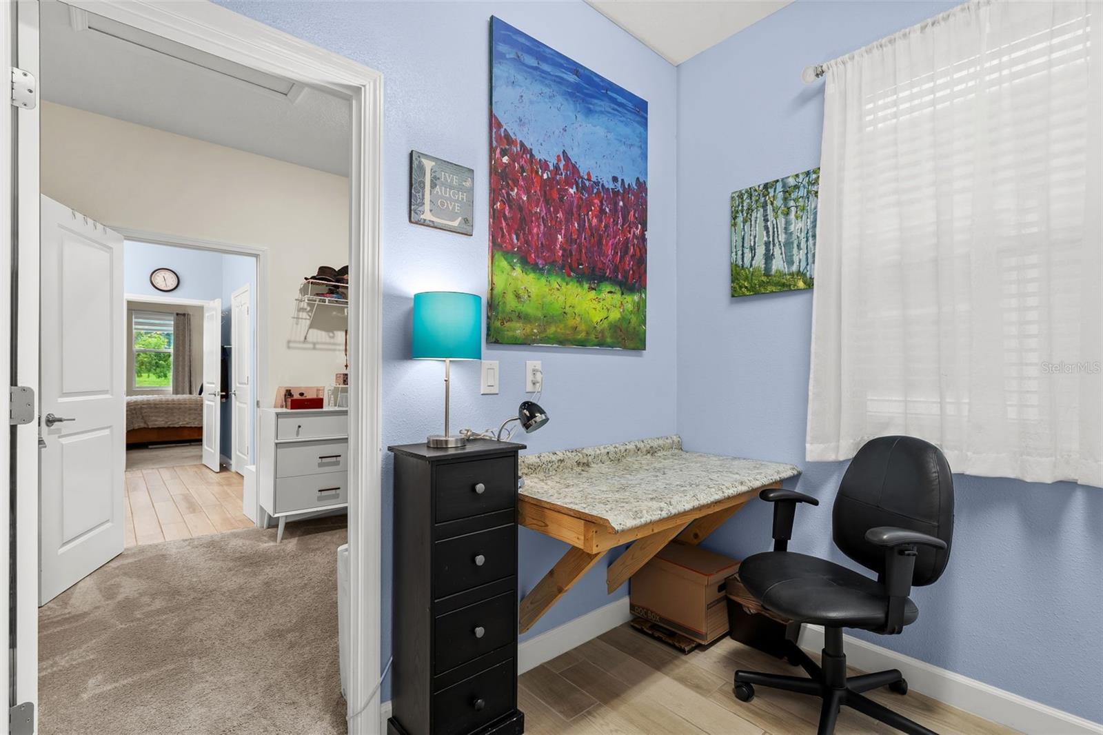 31687 CABANA RYE AVE — photo 27