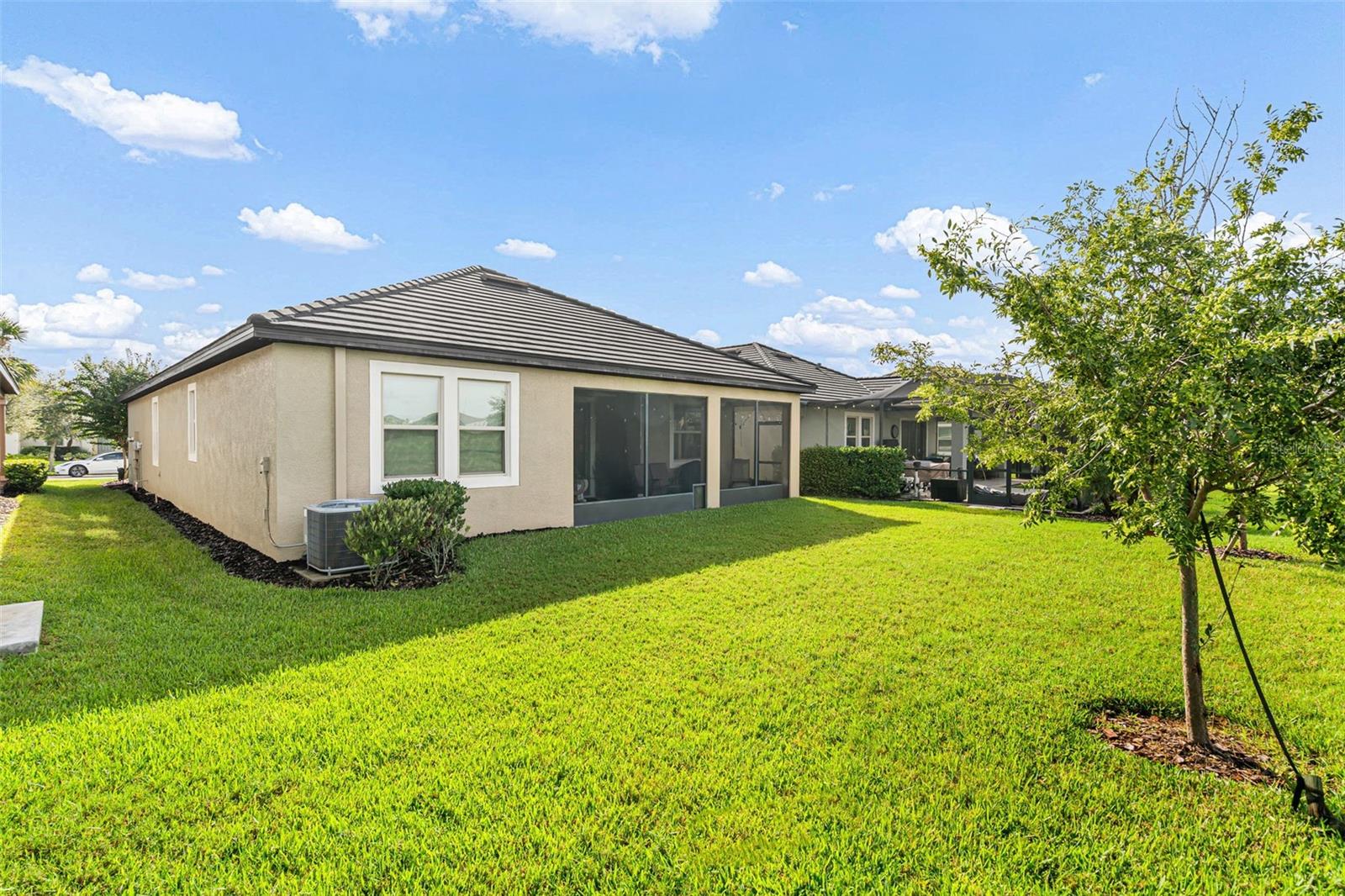 31687 CABANA RYE AVE — photo 40
