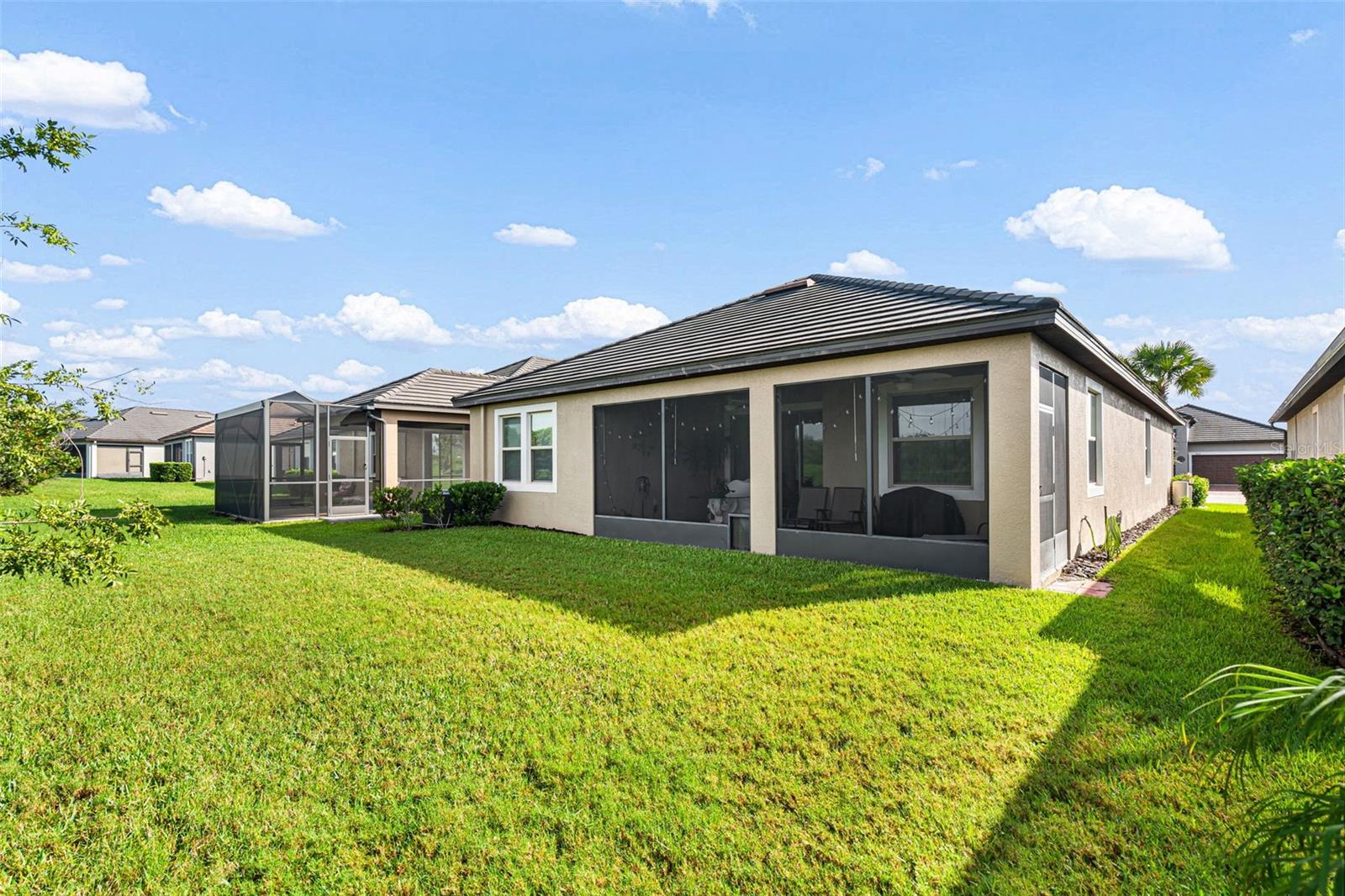 31687 CABANA RYE AVE — photo 39
