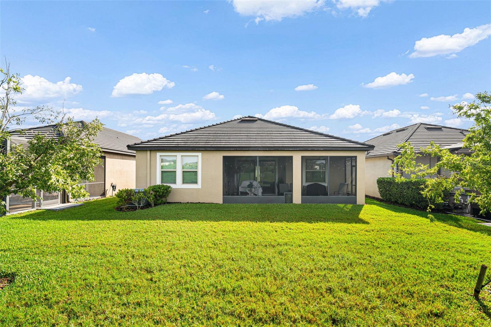 31687 CABANA RYE AVE — photo 4