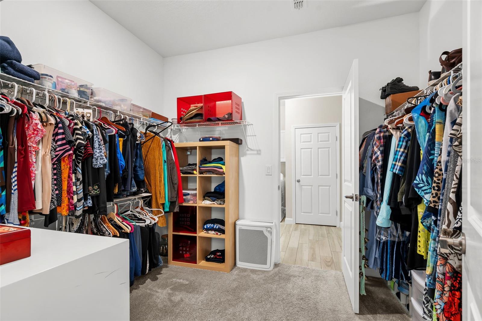 31687 CABANA RYE AVE — photo 28