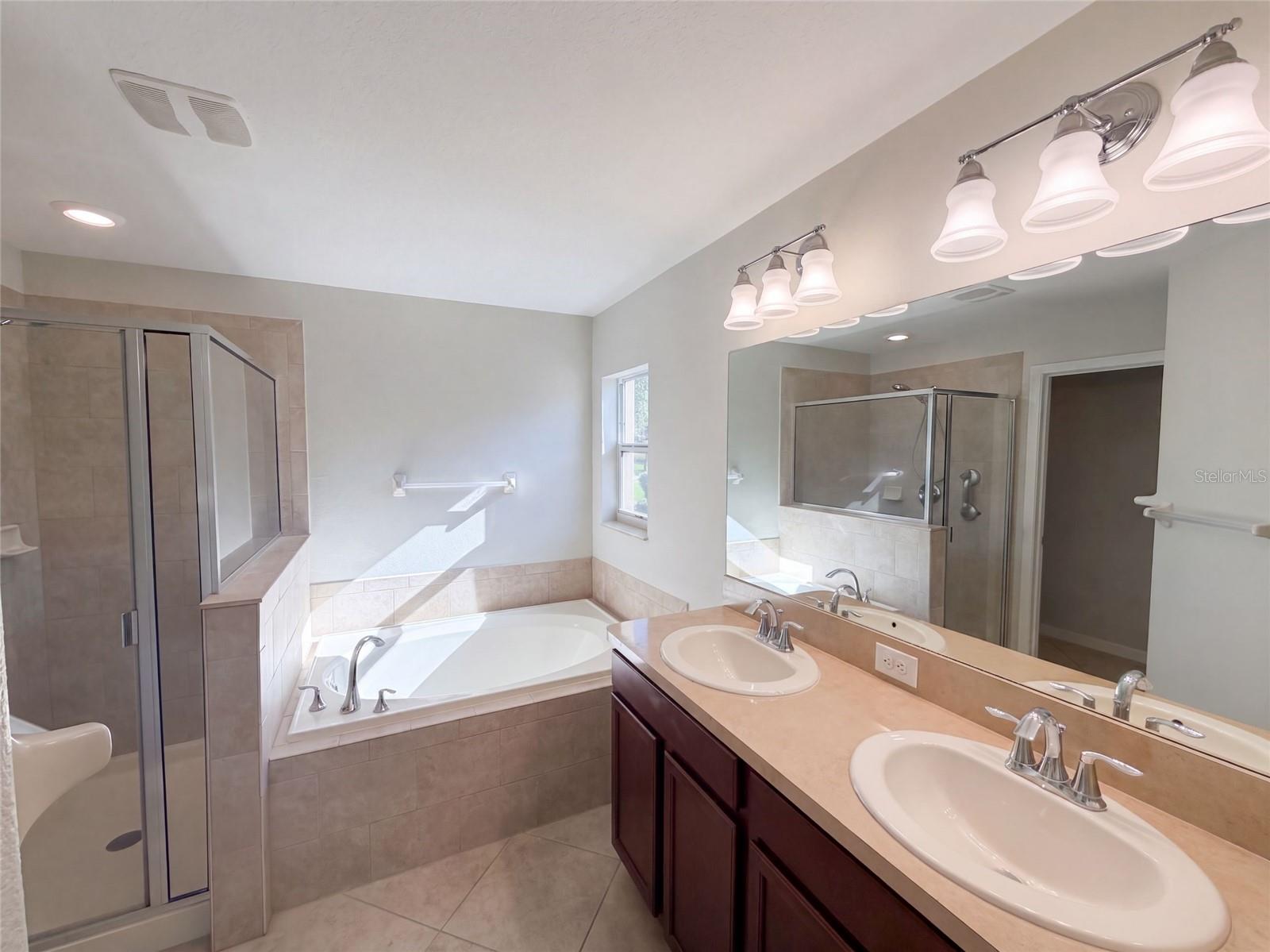10080 TOLMAN DR — photo 13