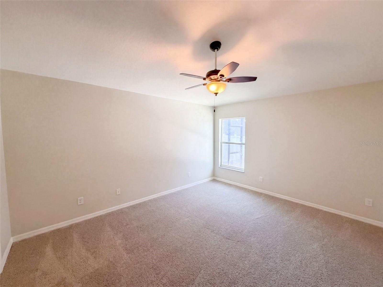 10080 TOLMAN DR — photo 9