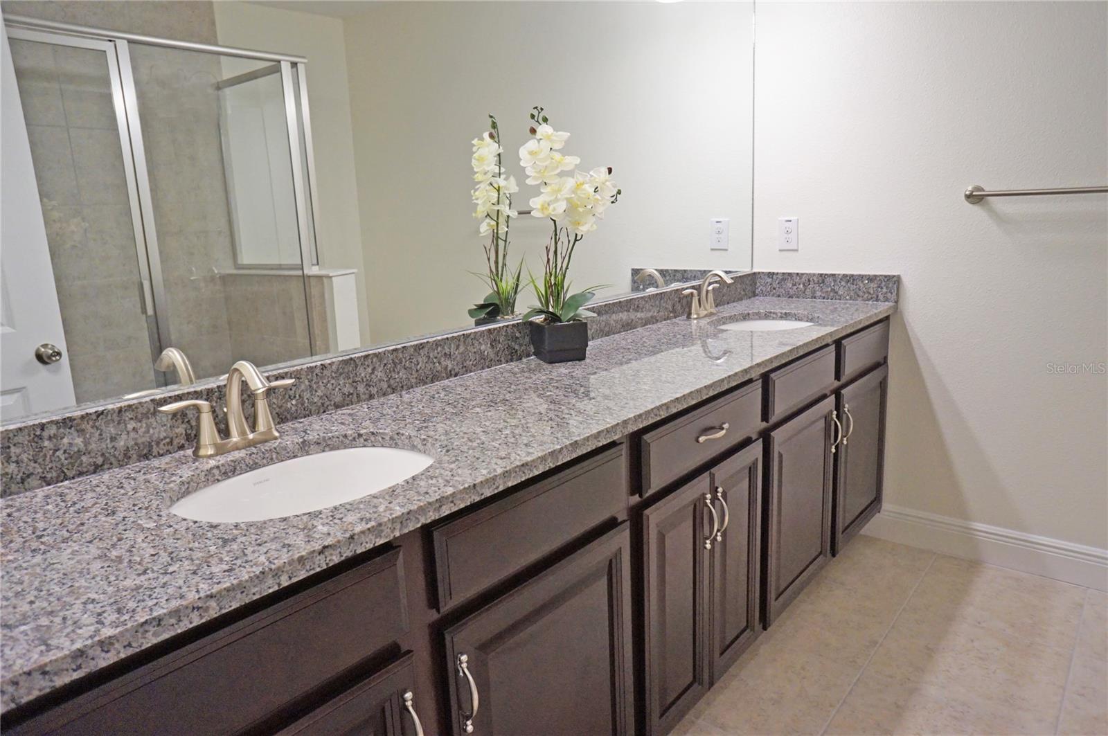14243 DAMSELFLY DR — photo 43