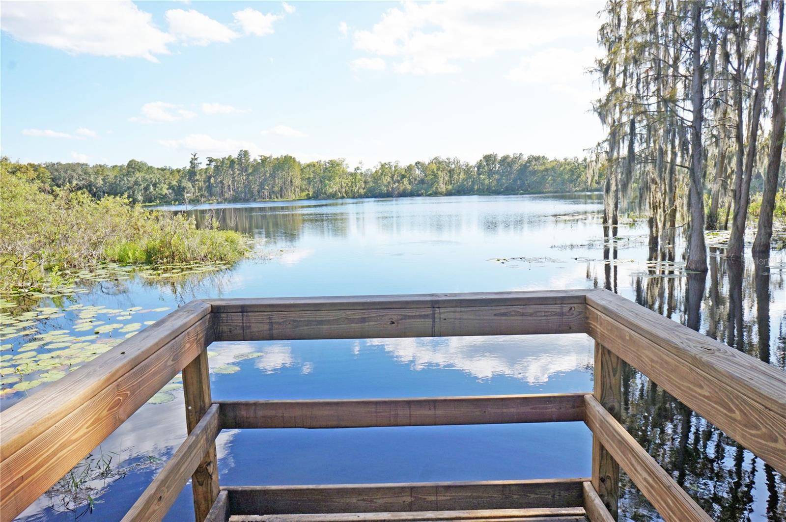 14243 DAMSELFLY DR — photo 60