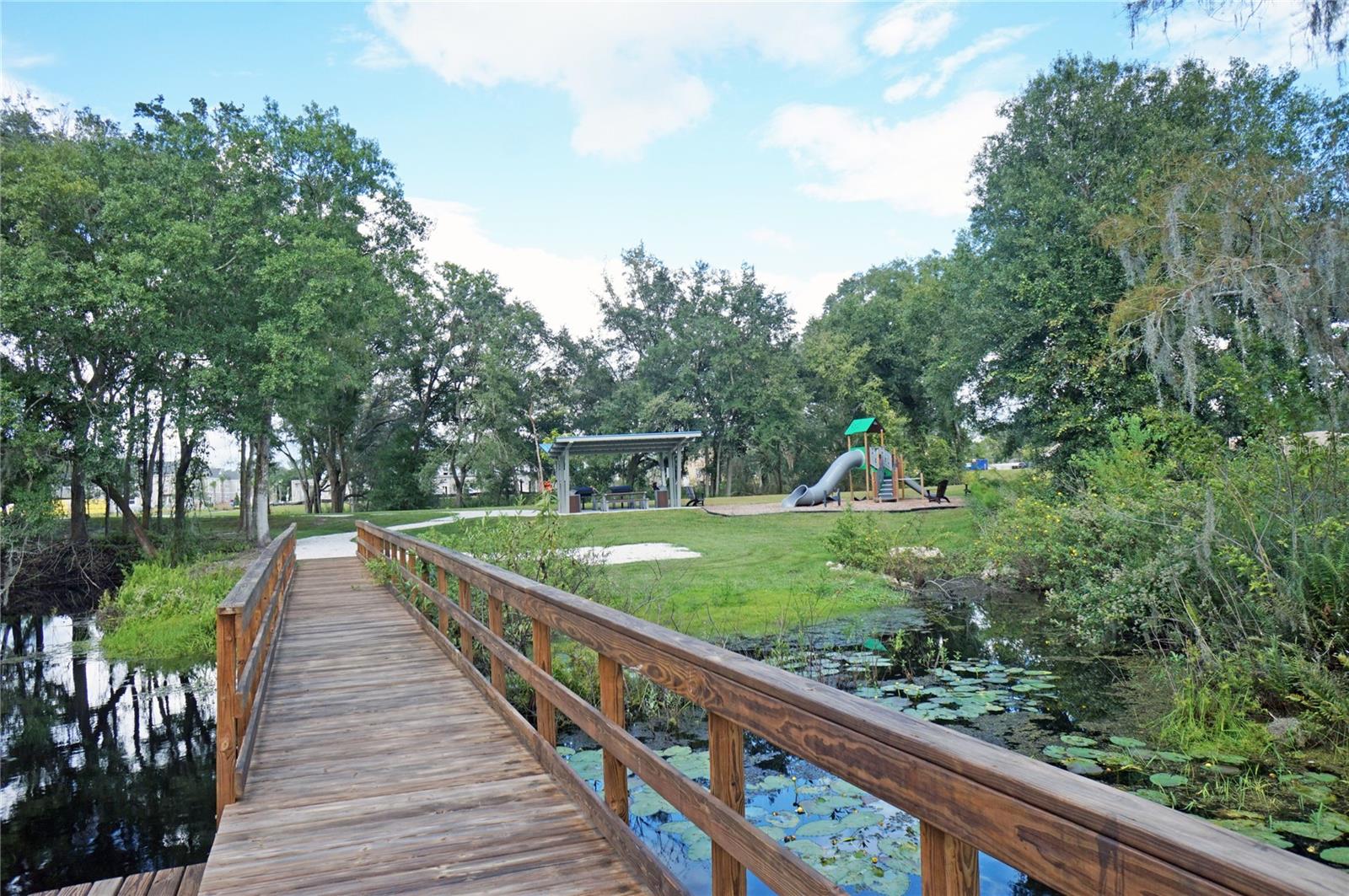 14243 DAMSELFLY DR — photo 62