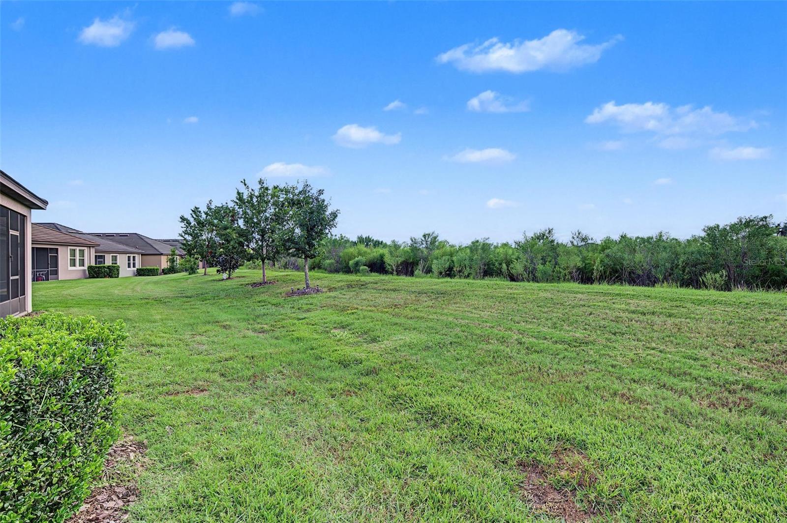 31733 CABANA RYE AVE — photo 34