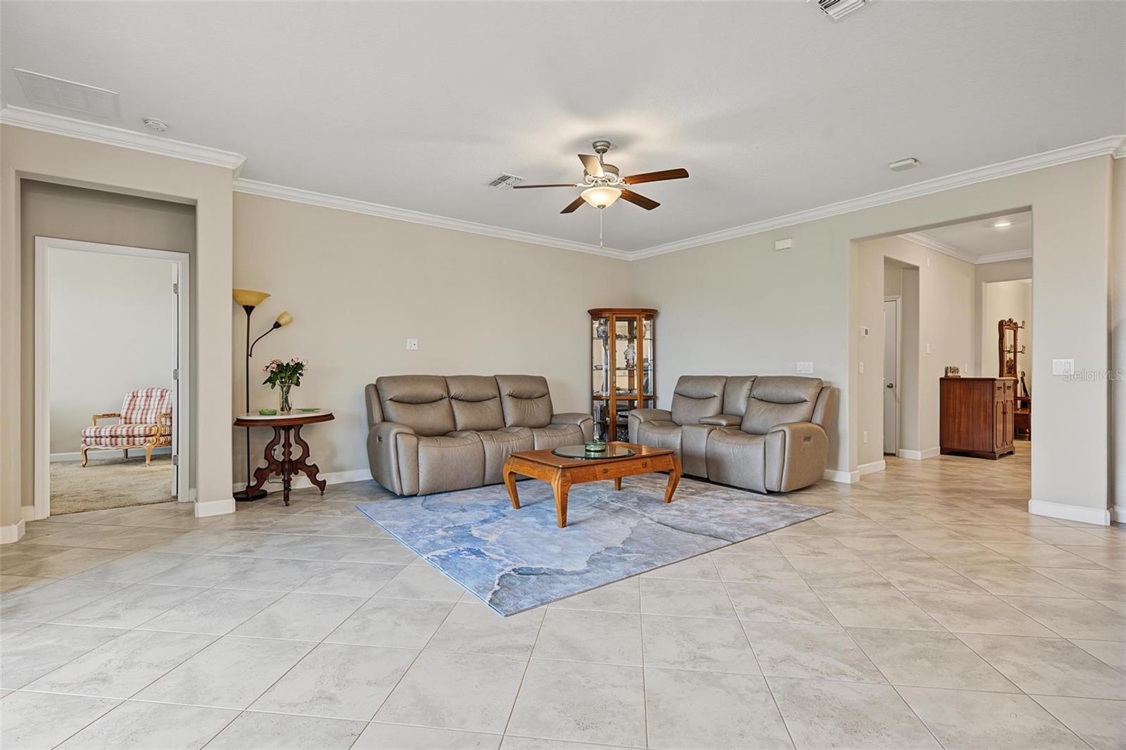 31733 CABANA RYE AVE — photo 16