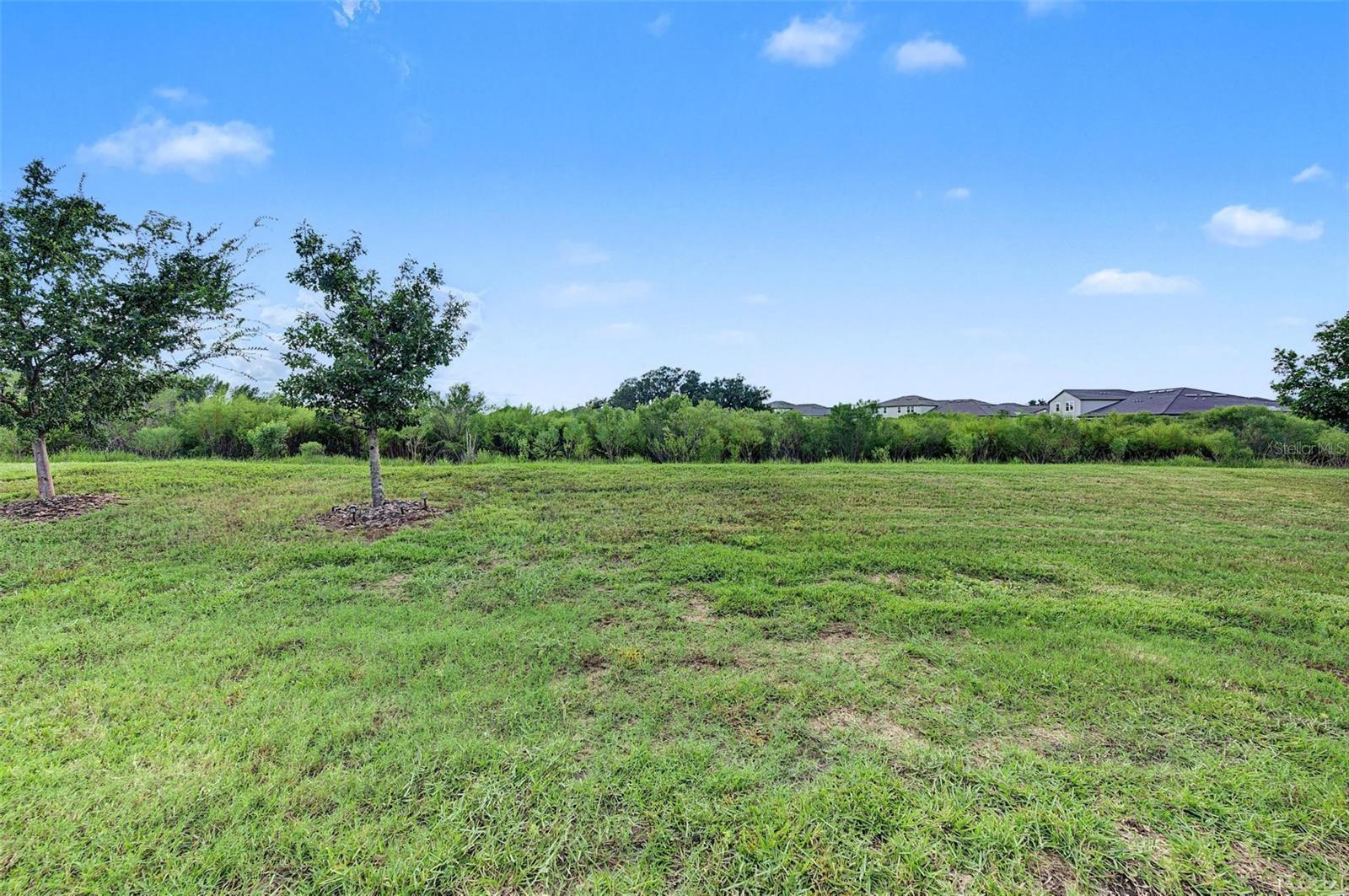 31733 CABANA RYE AVE — photo 33