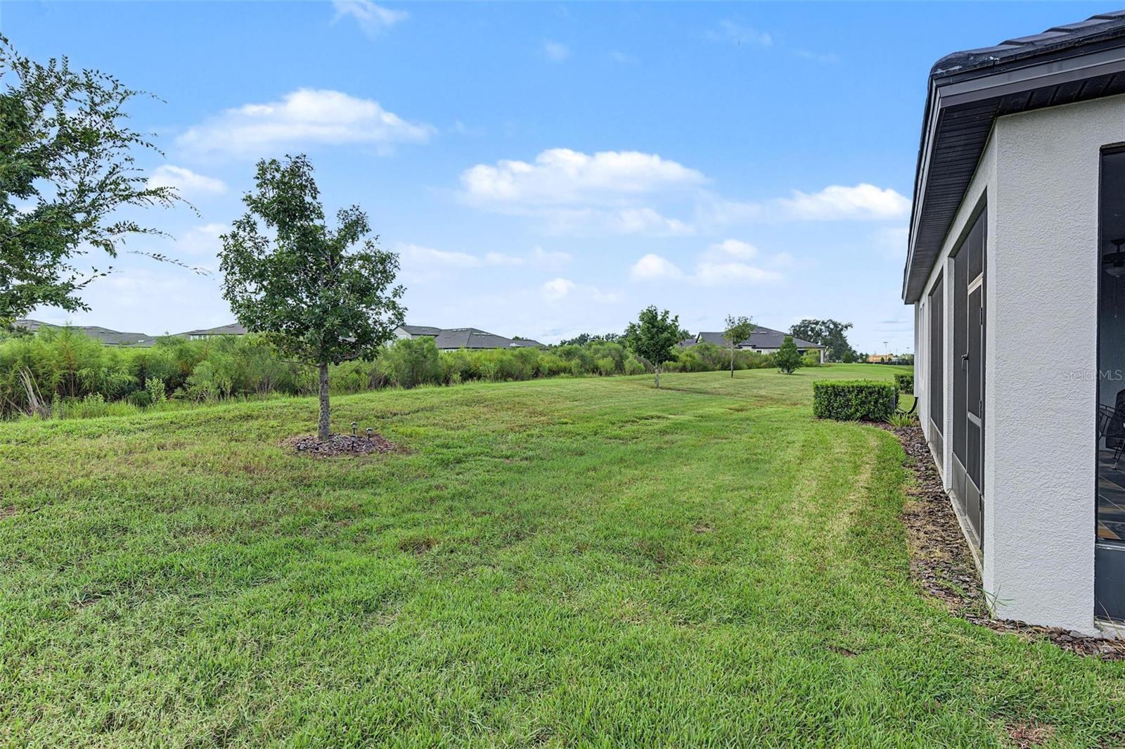 31733 CABANA RYE AVE — photo 32