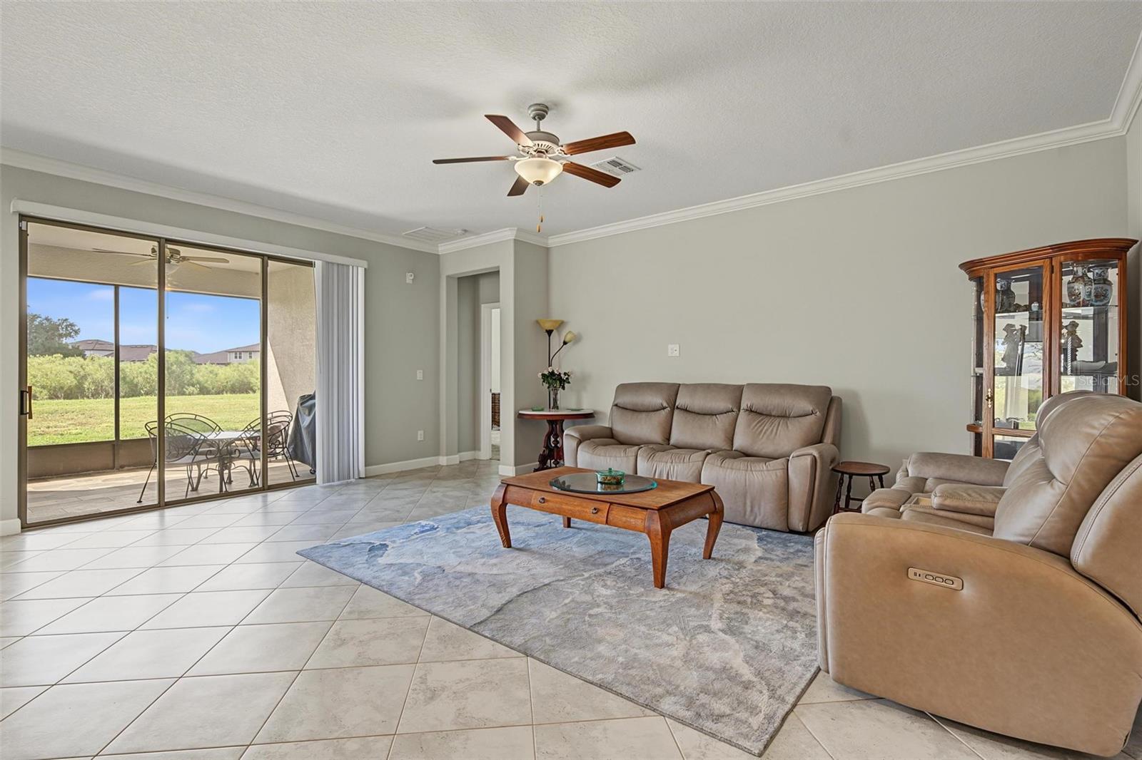 31733 CABANA RYE AVE — photo 18