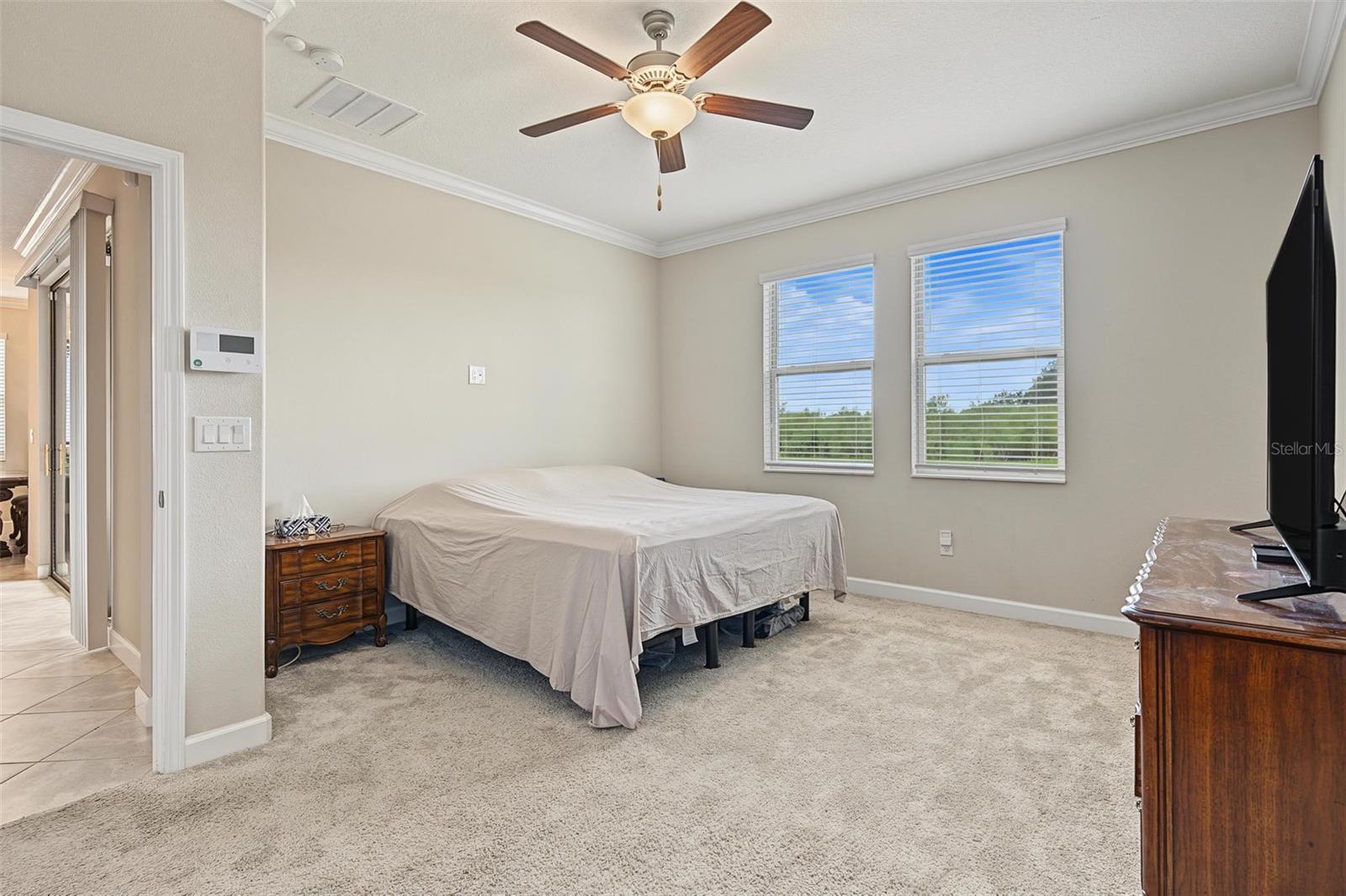 31733 CABANA RYE AVE — photo 21