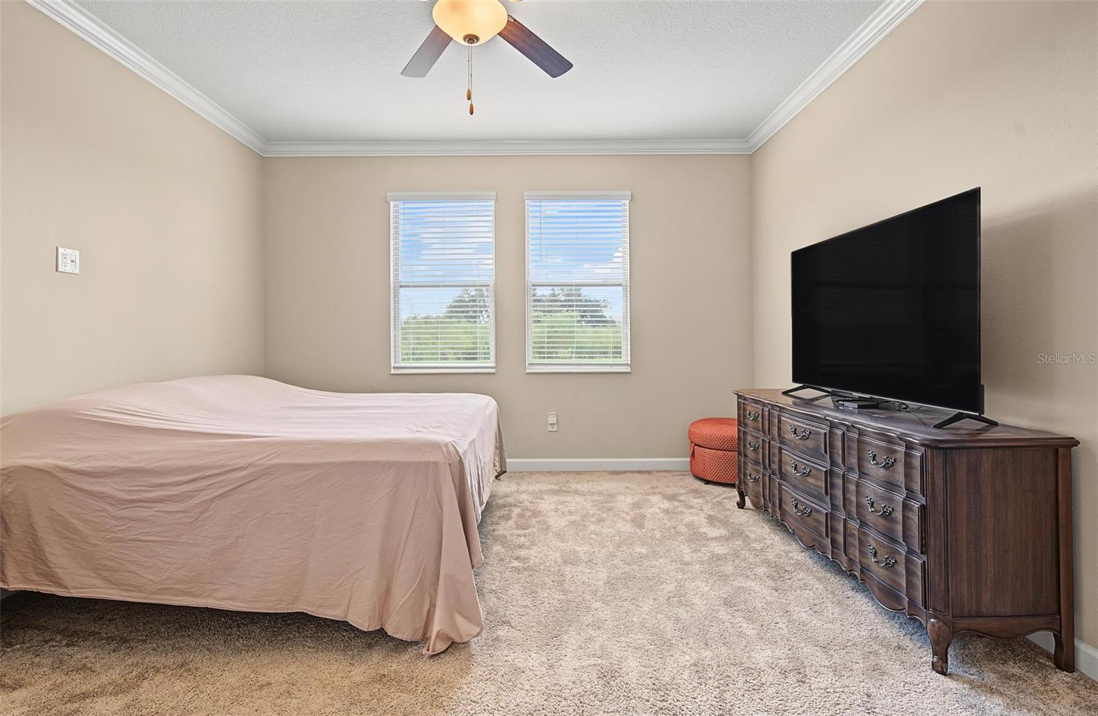 31733 CABANA RYE AVE — photo 20