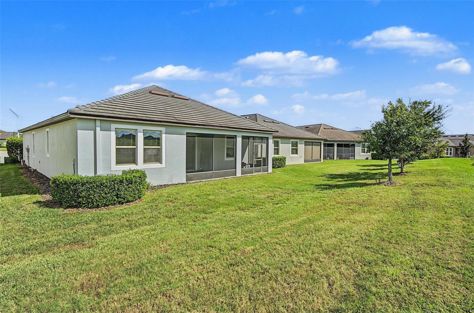 31733 CABANA RYE AVE — photo 31