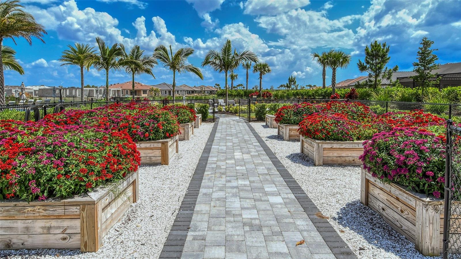 3007 TRAMONTO CT — photo 49