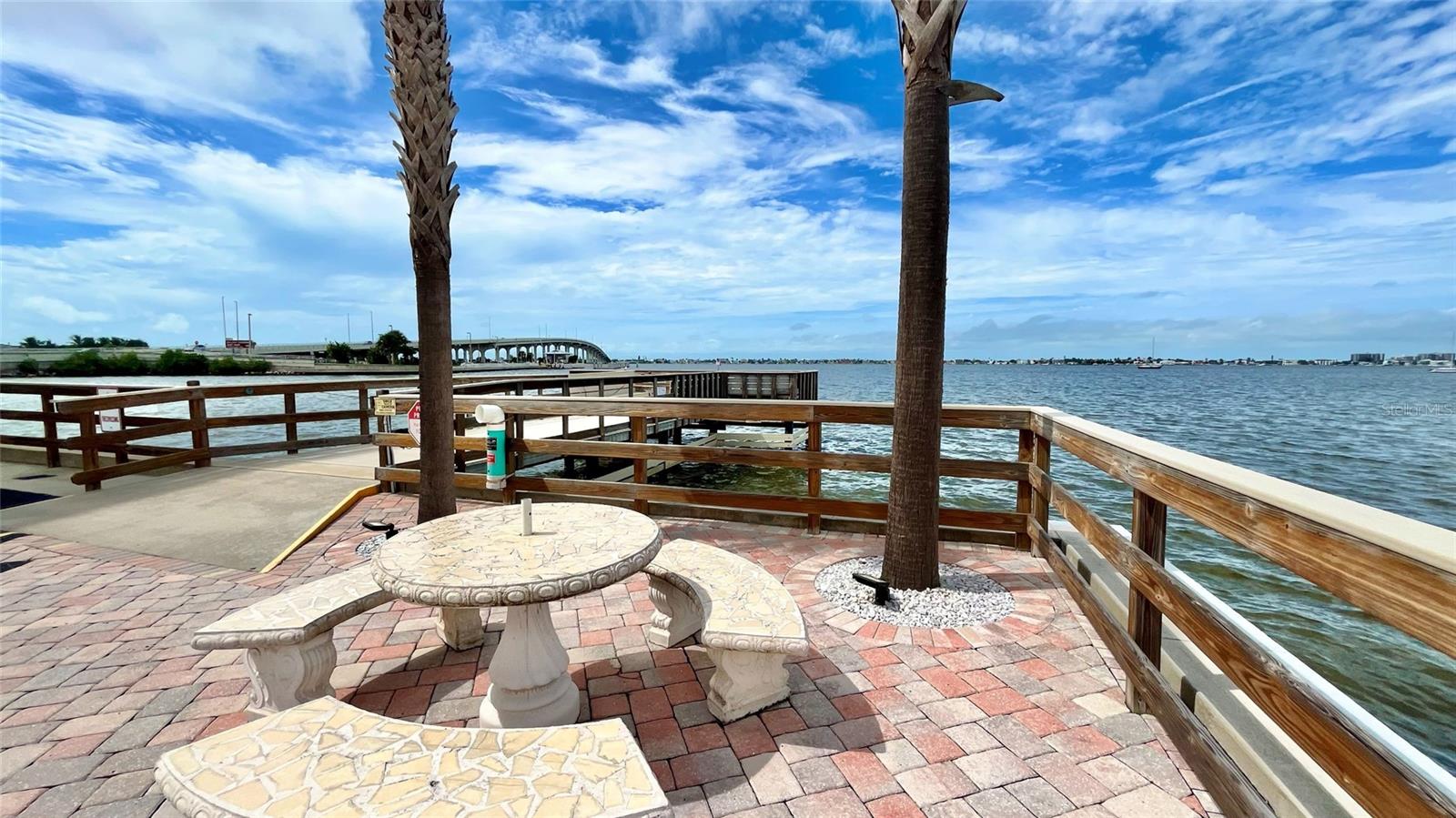 100 BLUFF VIEW DR #211A — photo 38