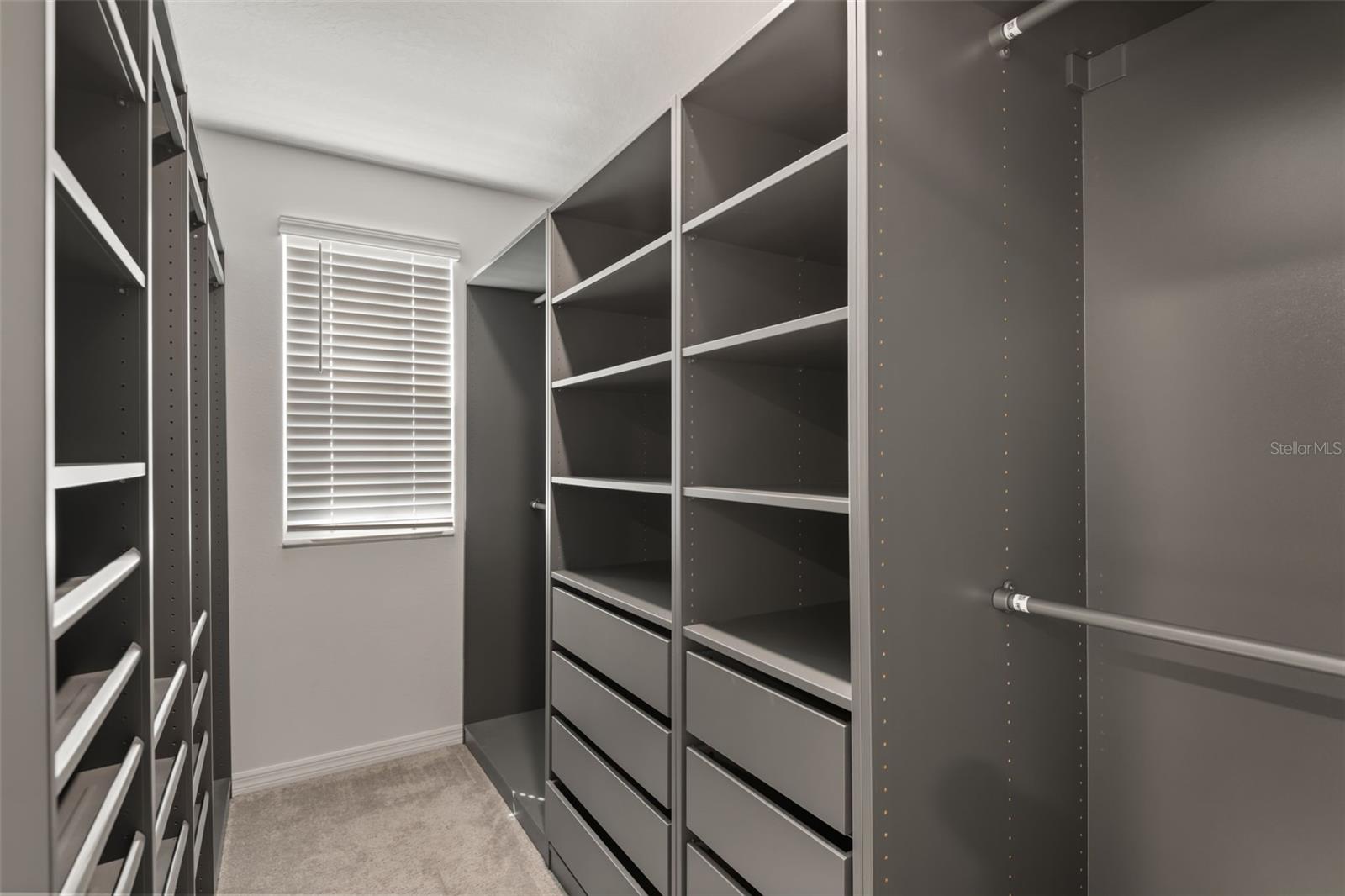 509 ROYAL EMPRESS DR — photo 13