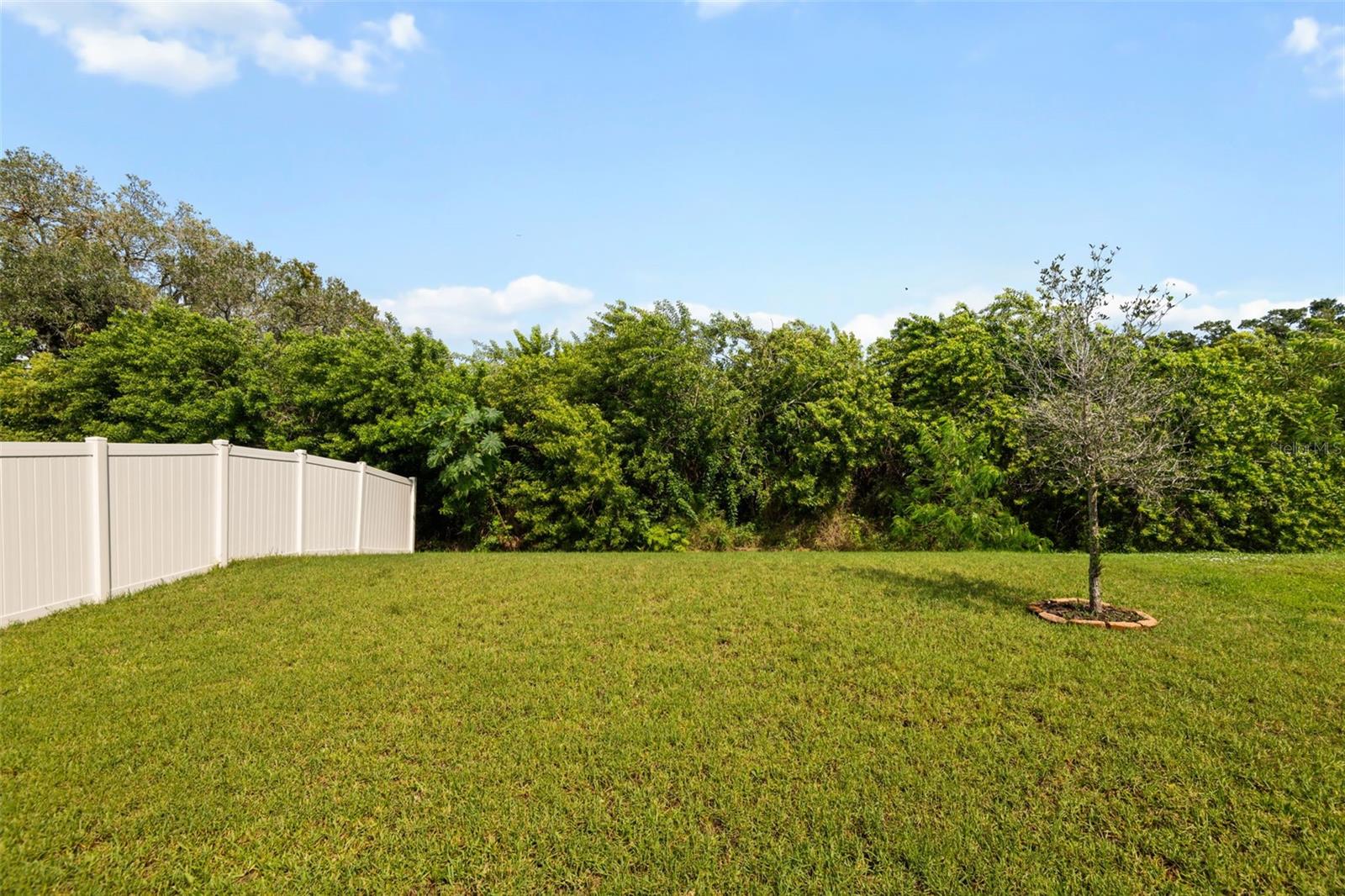 509 ROYAL EMPRESS DR — photo 19