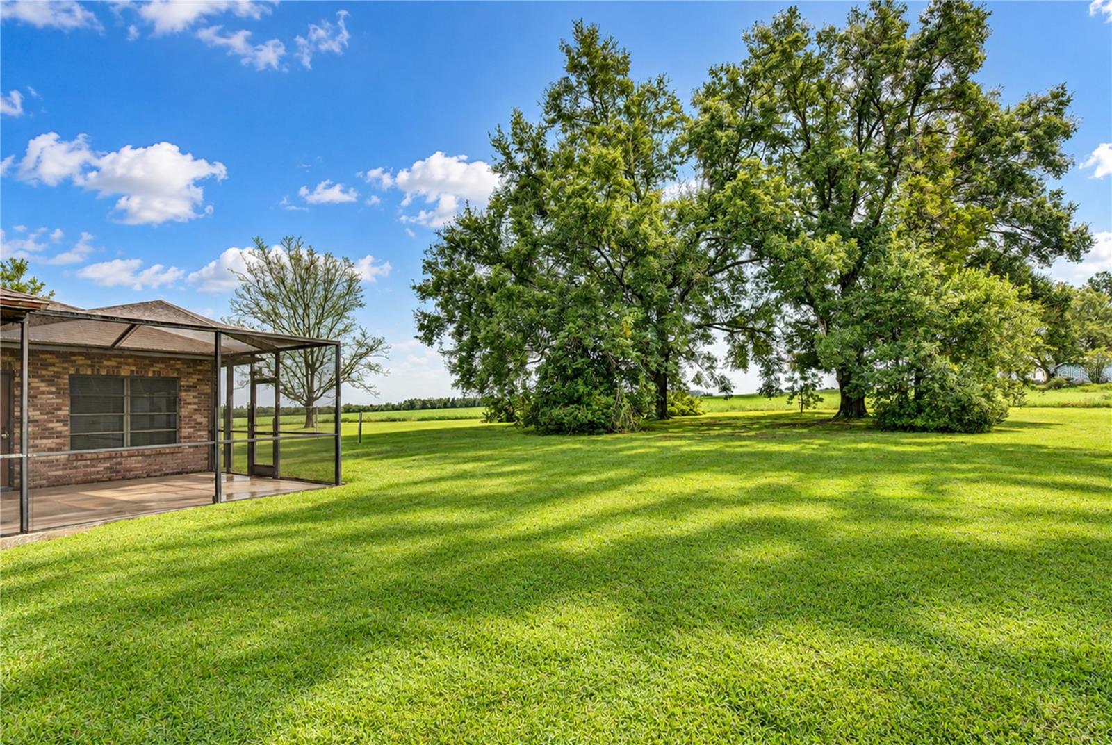 38740 WILDS RD — photo 6