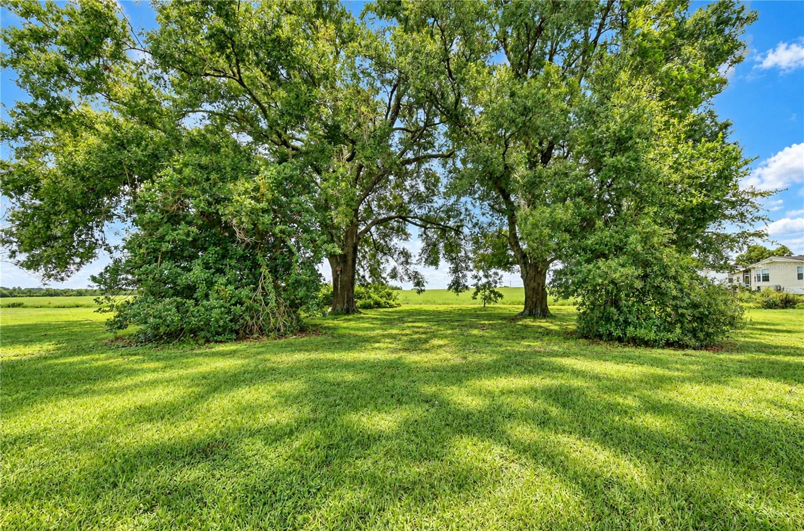 38740 WILDS RD — photo 7