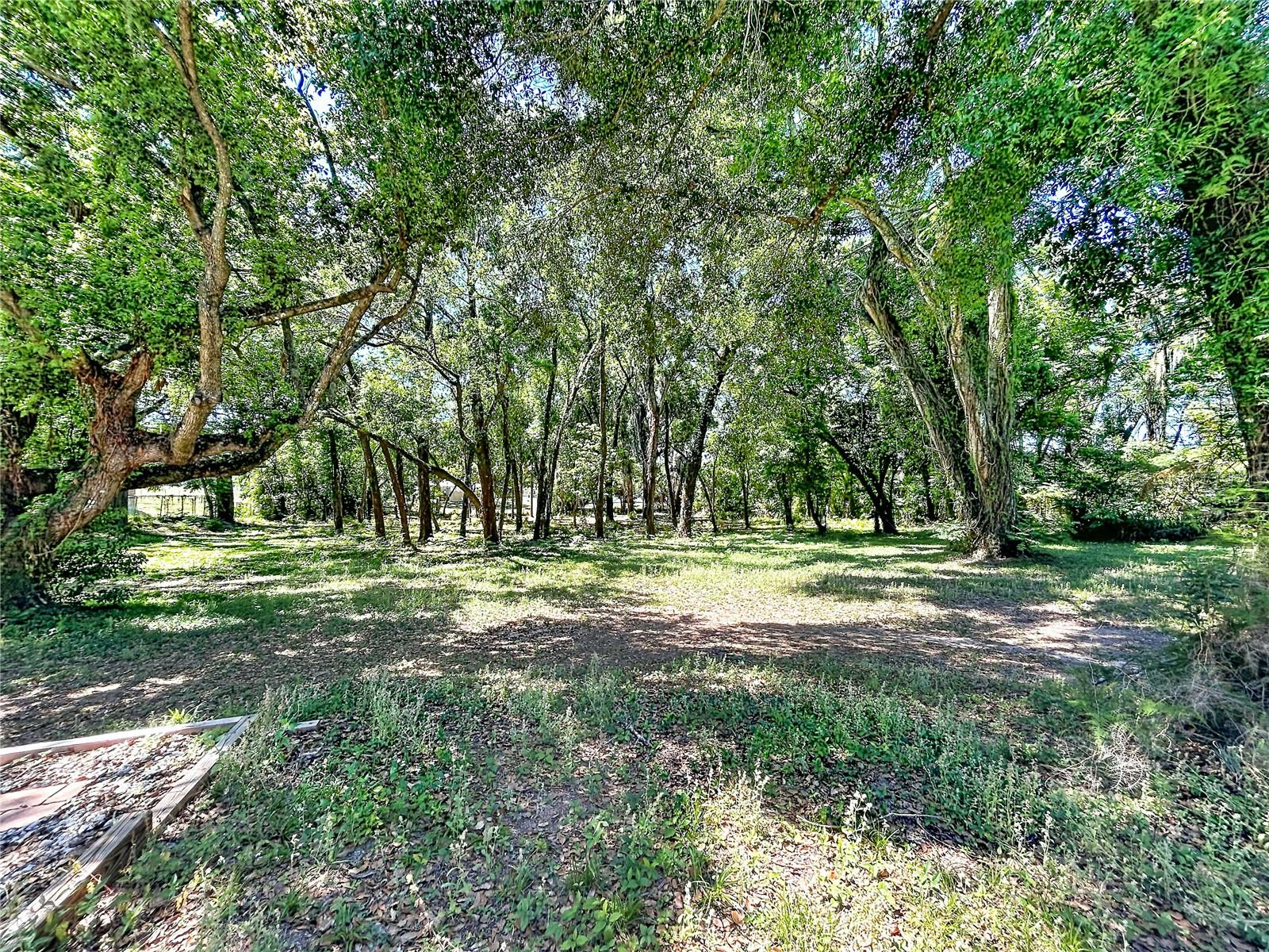 37250 FLORIDA AVE — photo 39