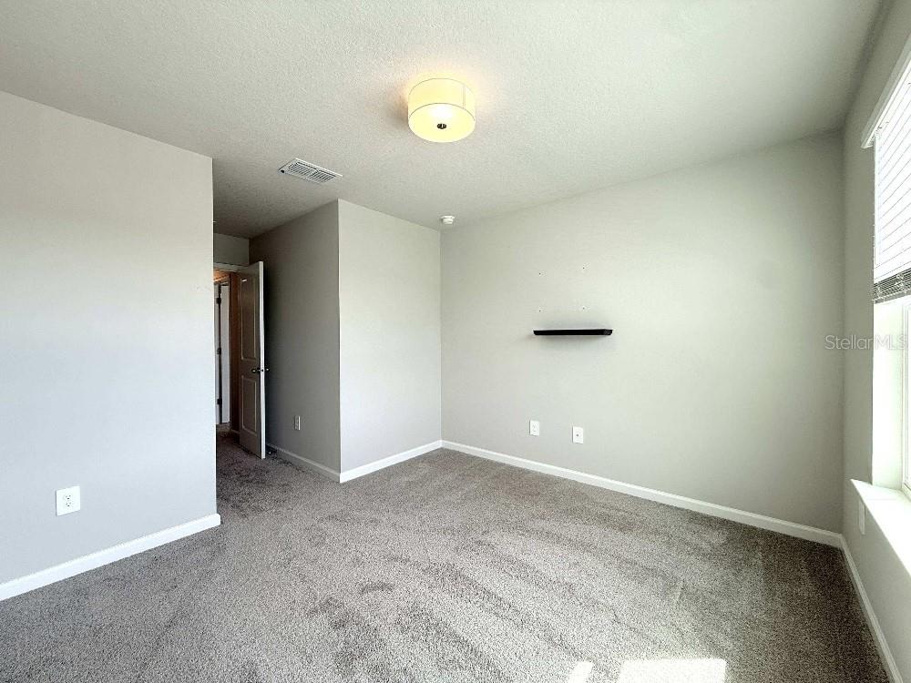 4166 CLOUD HOPPER WAY — photo 19