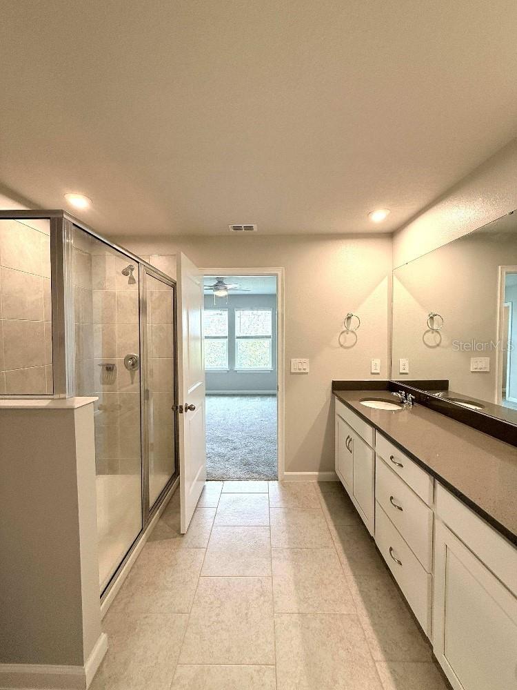4166 CLOUD HOPPER WAY — photo 11