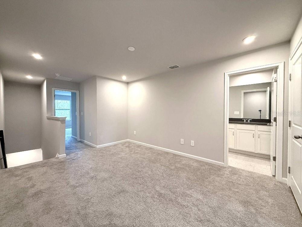 4166 CLOUD HOPPER WAY — photo 7