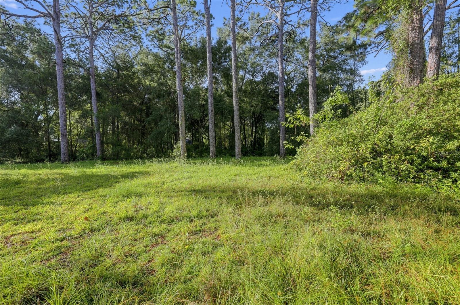 18322 HAVENWOODS RD — photo 8