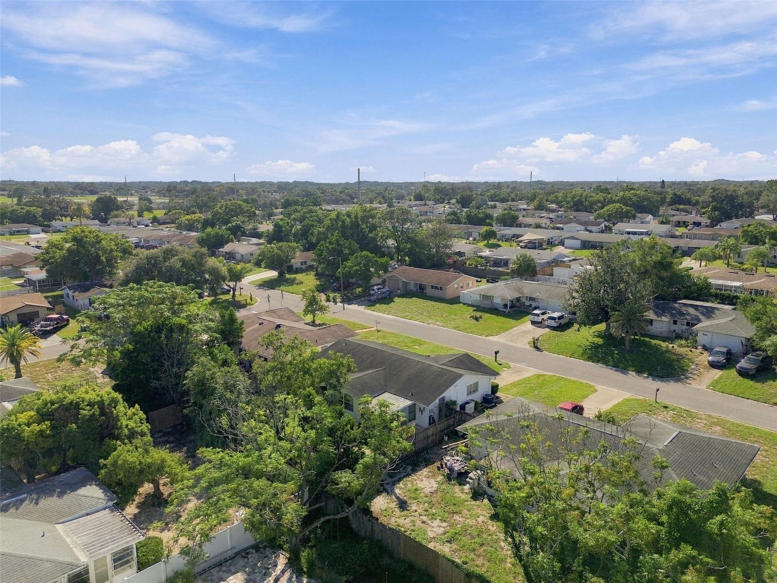 7917 MIMOSA DR — photo 69