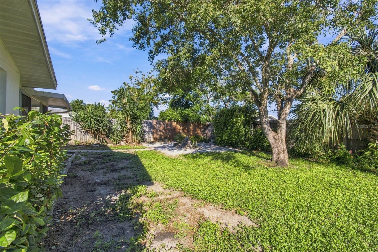 7917 MIMOSA DR — photo 53