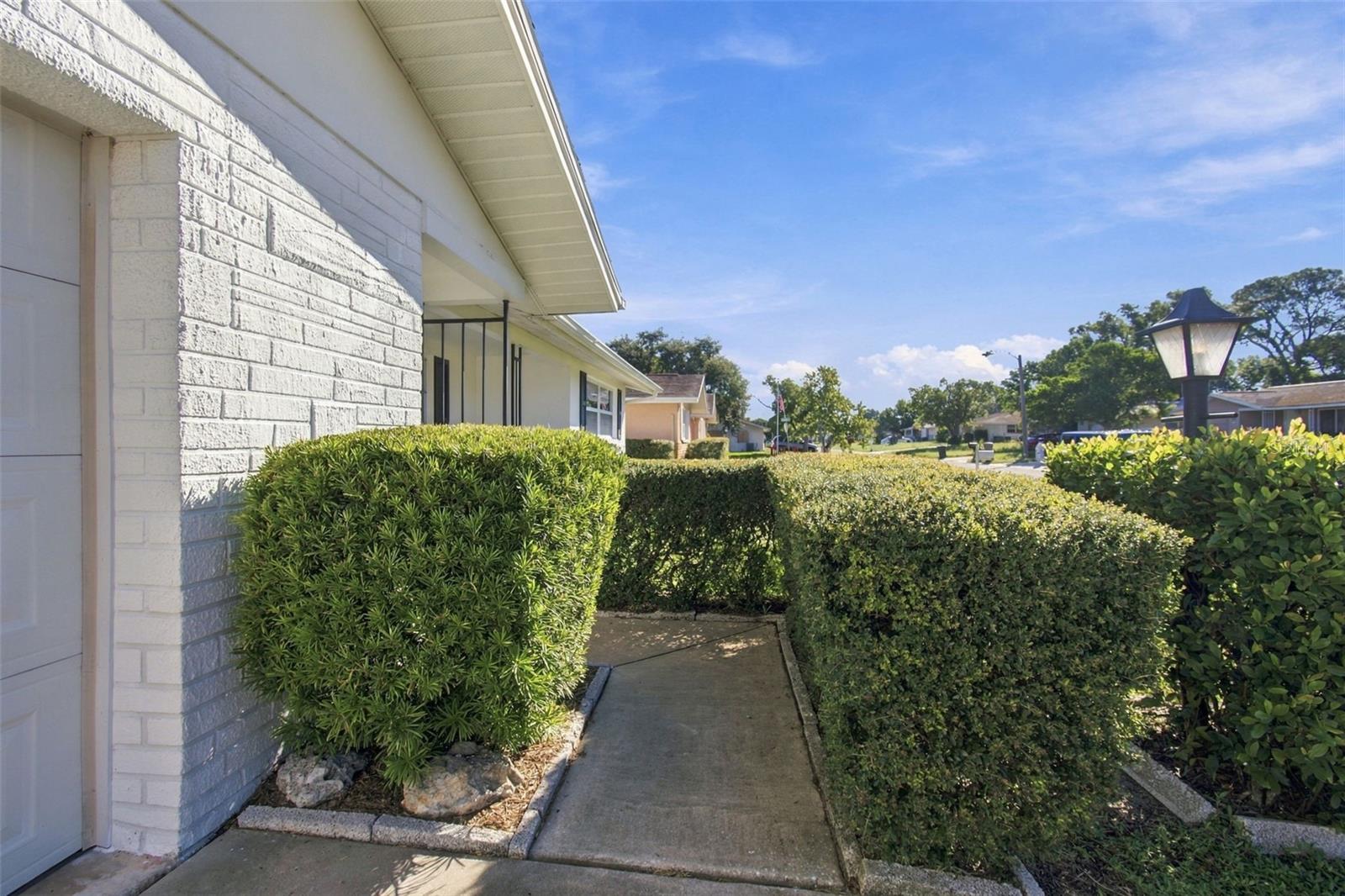 7917 MIMOSA DR — photo 5