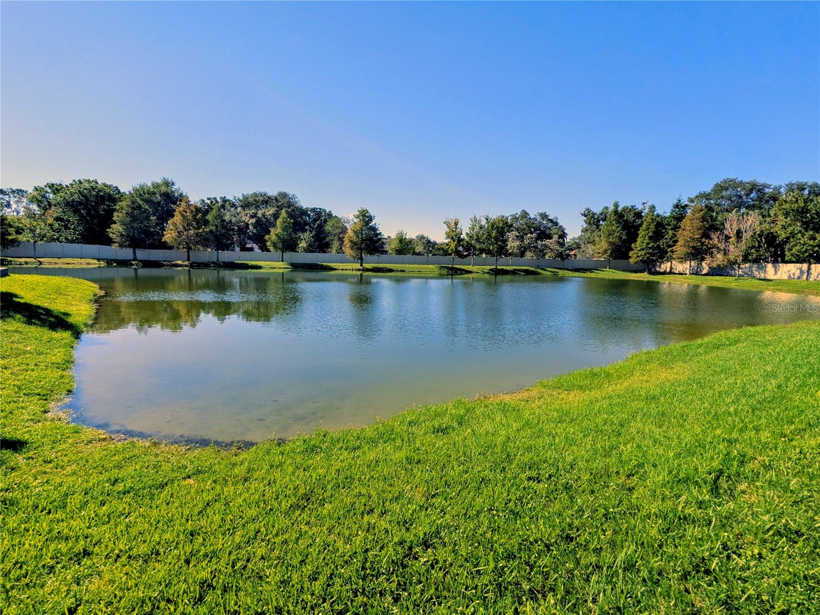 2454 FOGGY CREEK CIR — photo 30