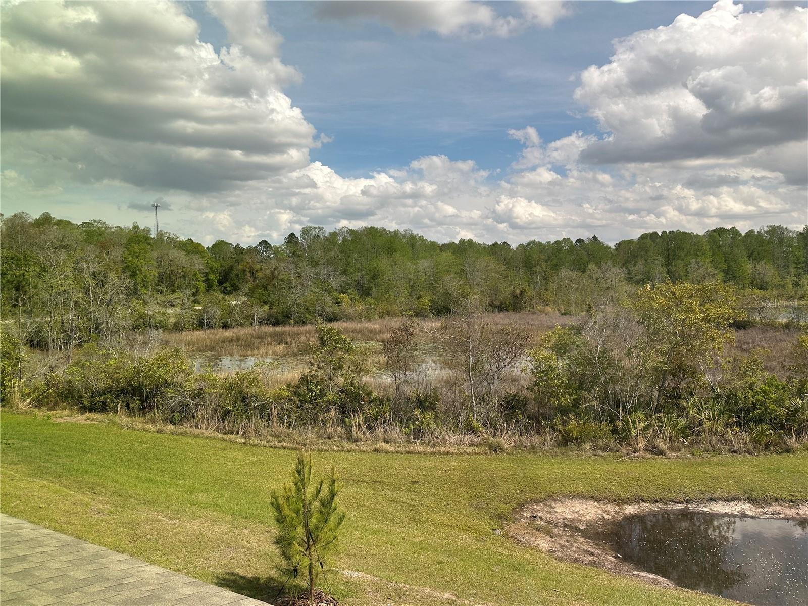 11408 CRESCENT DEER DR — photo 25
