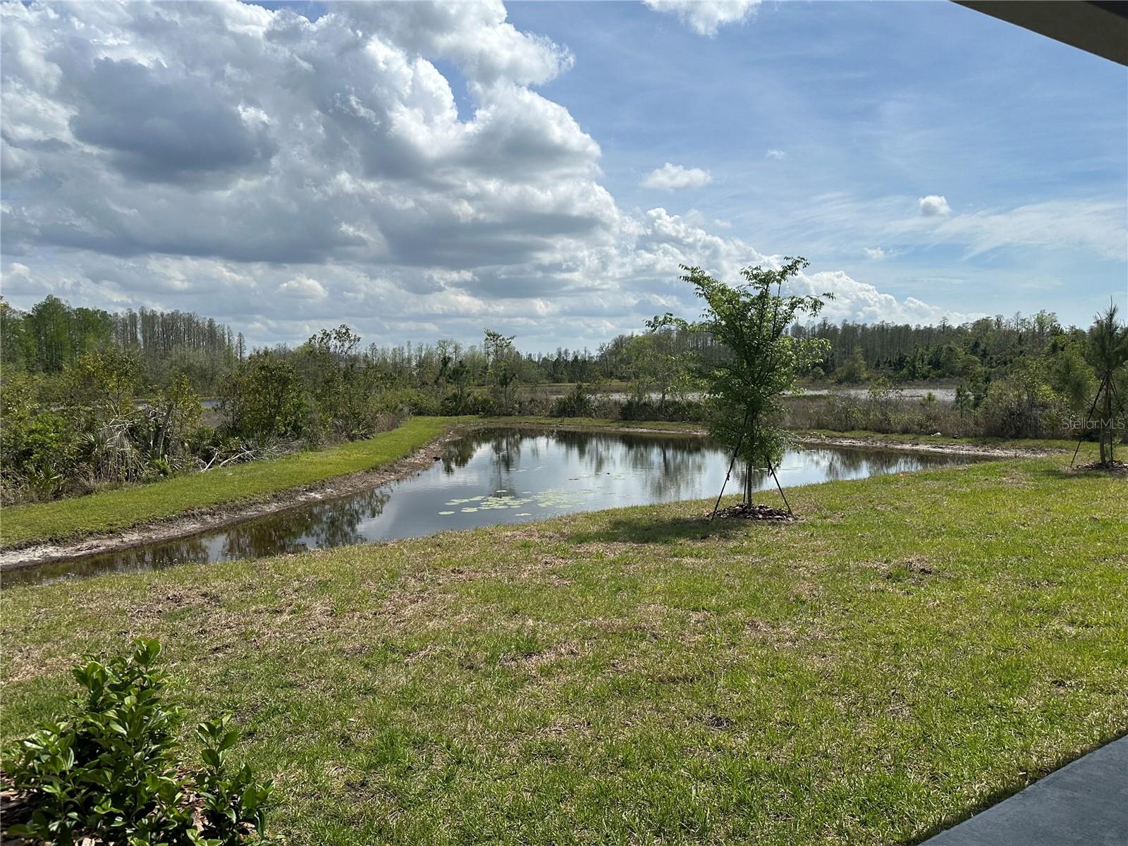 11408 CRESCENT DEER DR — photo 11