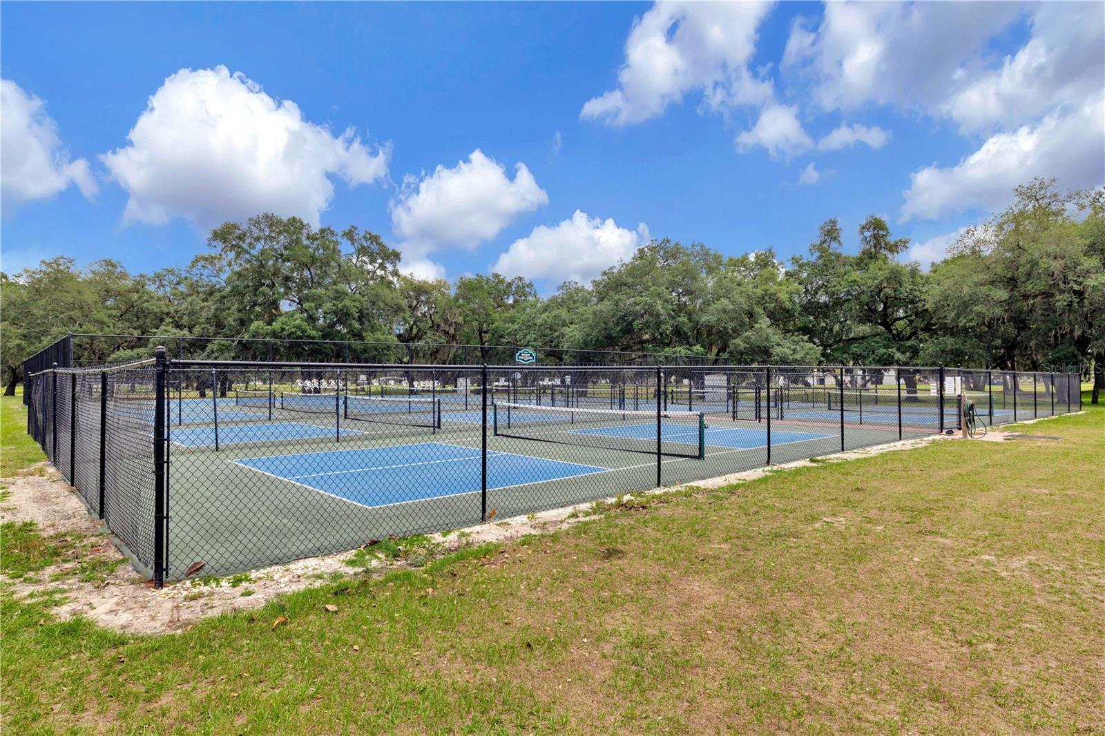 36513 LAKEWOOD DR — photo 68